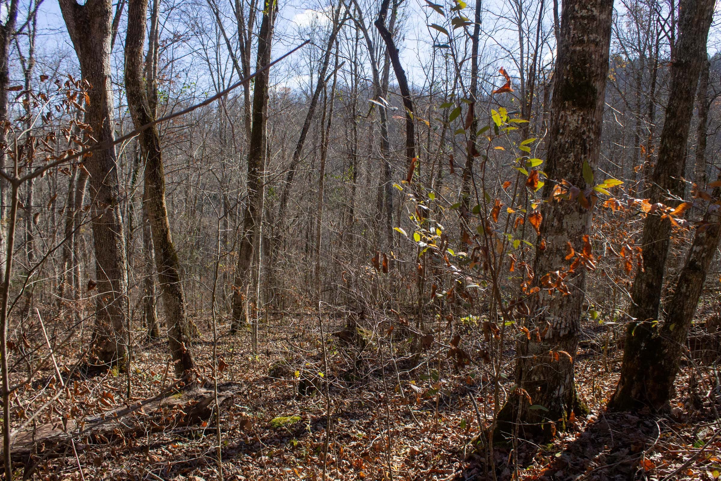 The Cliffs Tract 6 photo 5