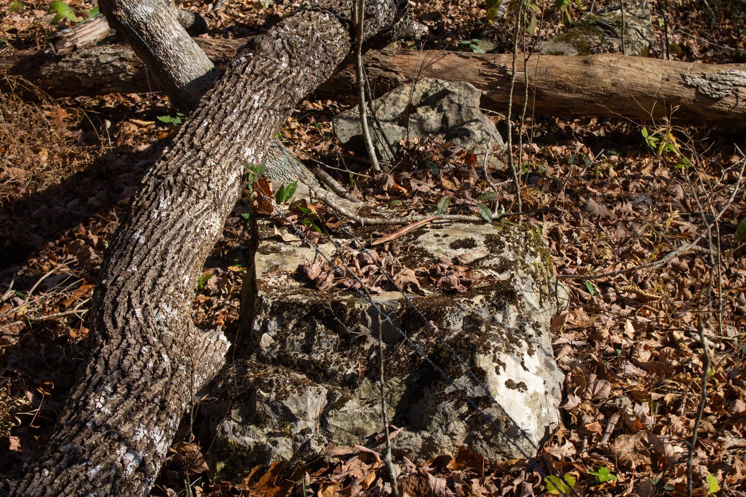 The Cliffs Tract 6 photo 6