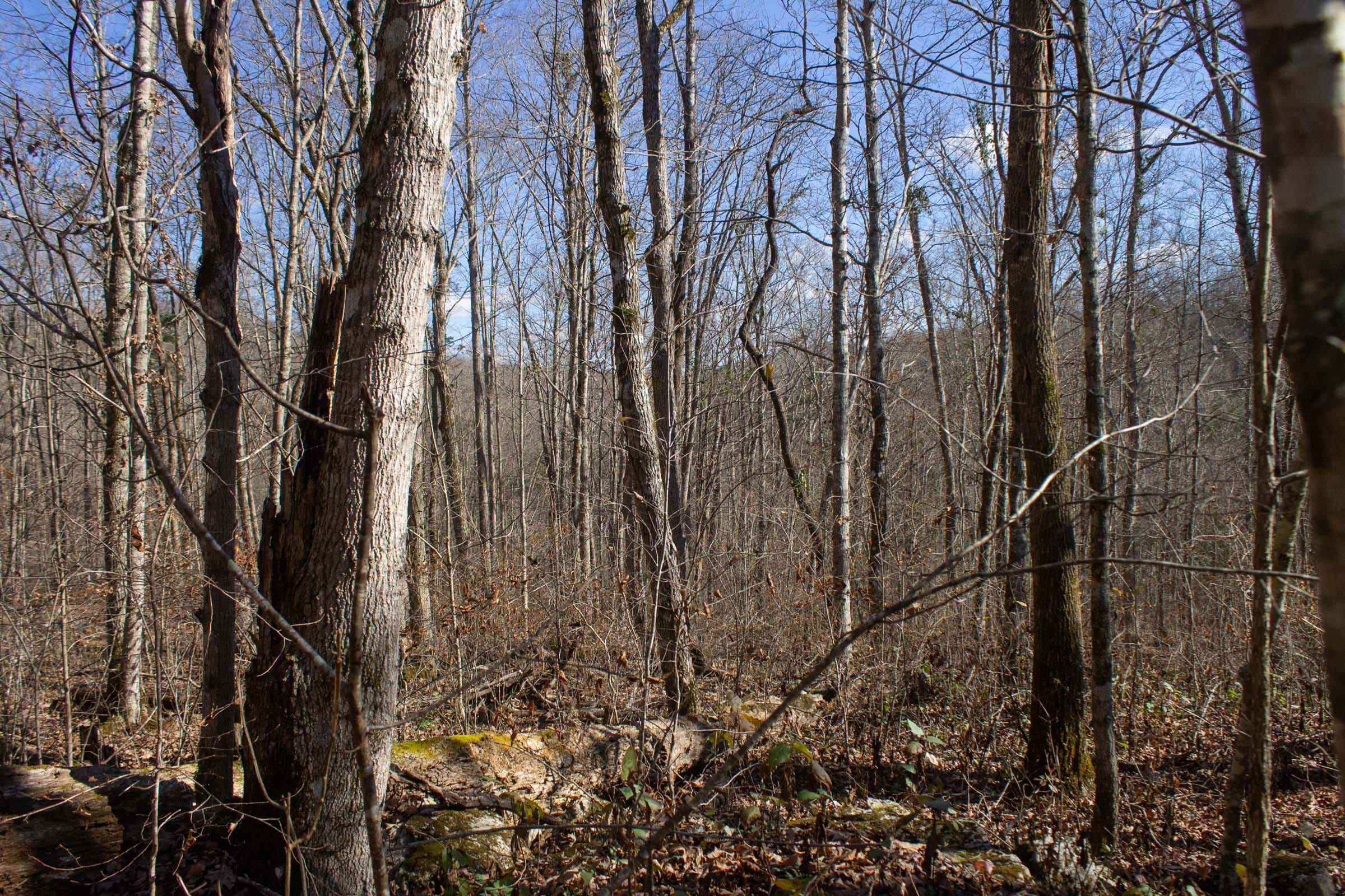 The Cliffs Tract 6 photo 7