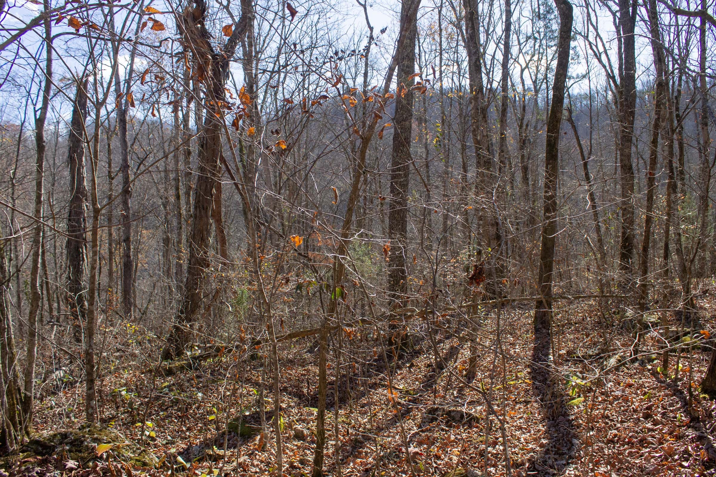 The Cliffs Tract 6 photo 8