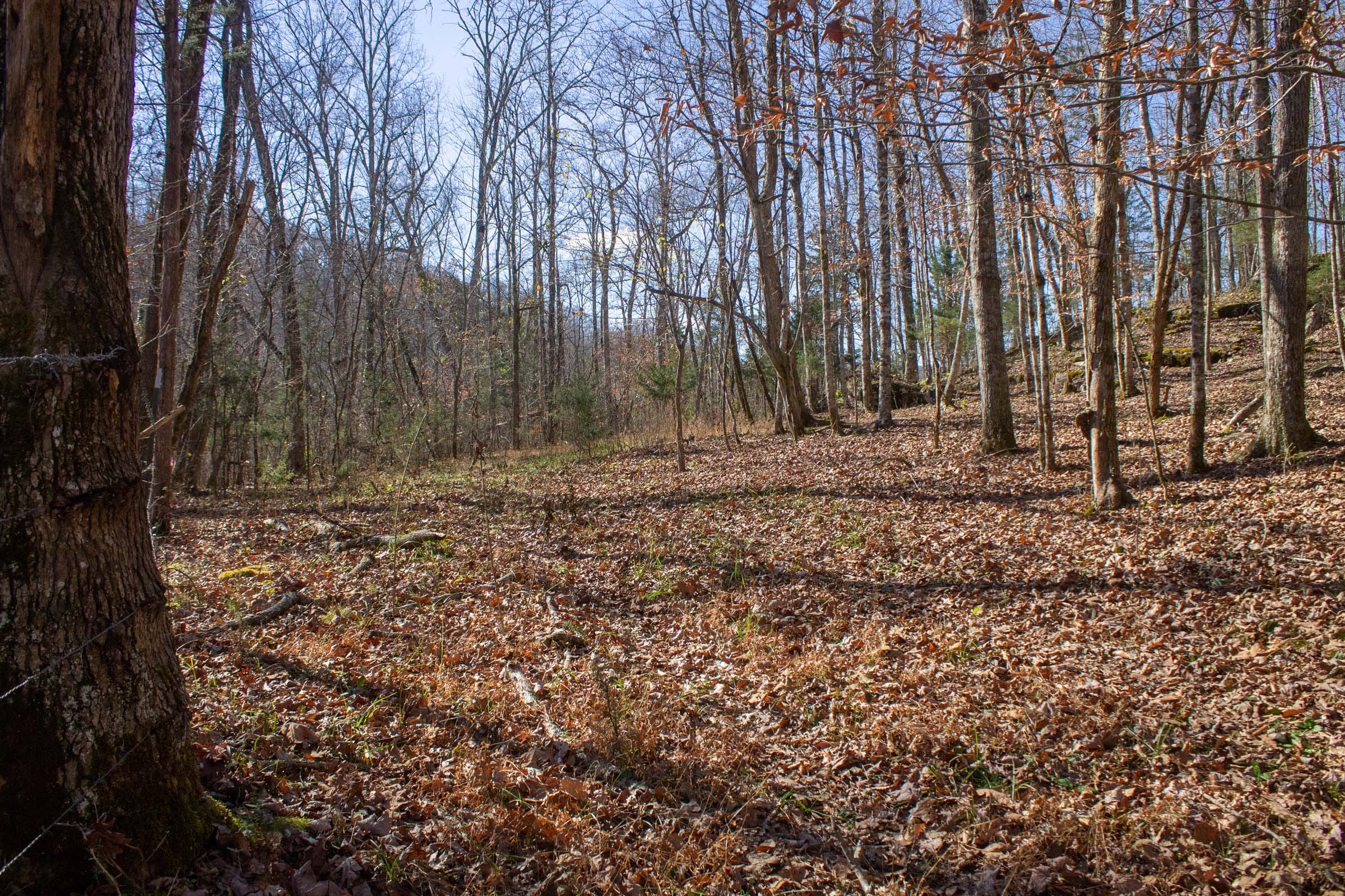 The Cliffs Tract 6 photo 1