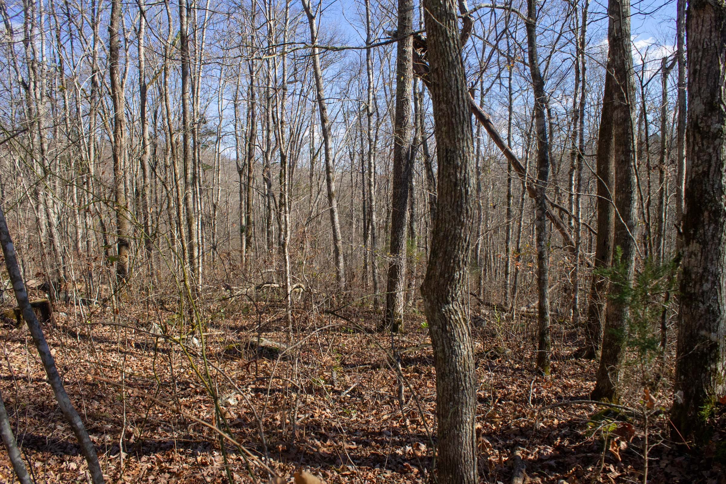 The Cliffs Tract 6 photo 9