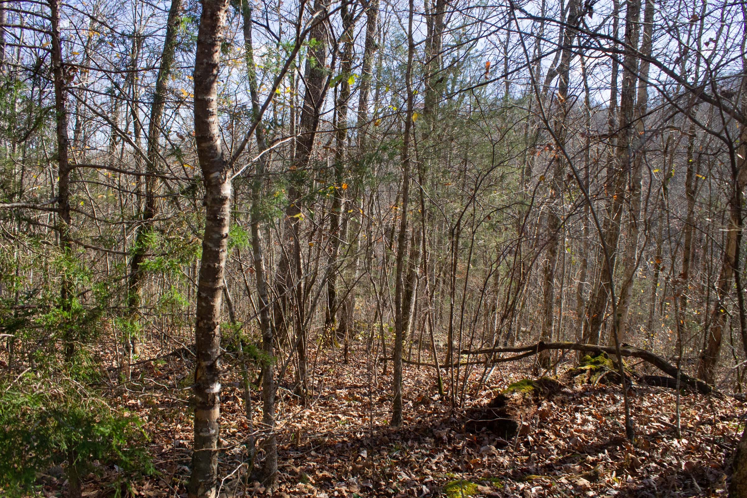 The Cliffs Tract 6 photo 10
