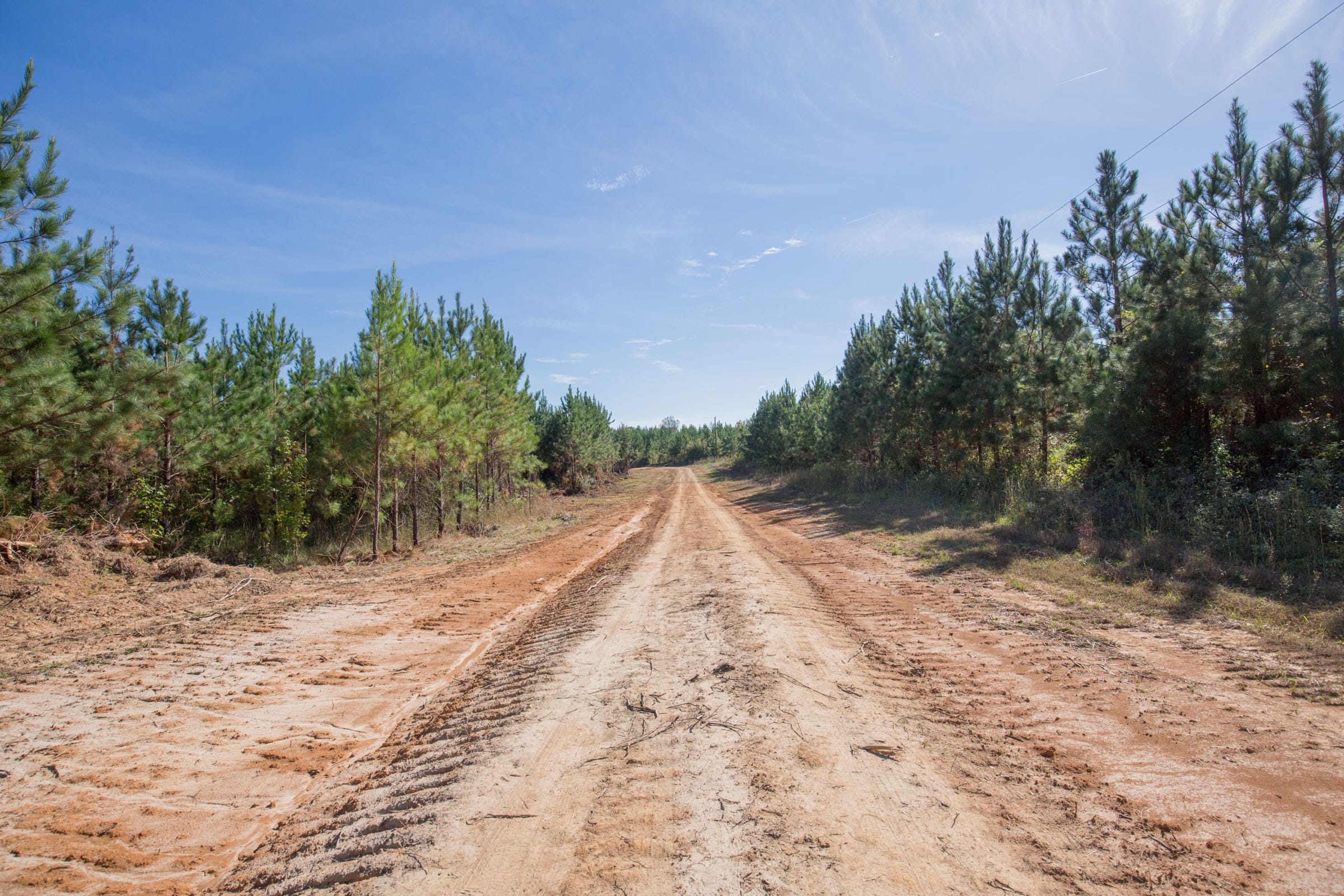 Brentwood Tract 14 photo 6