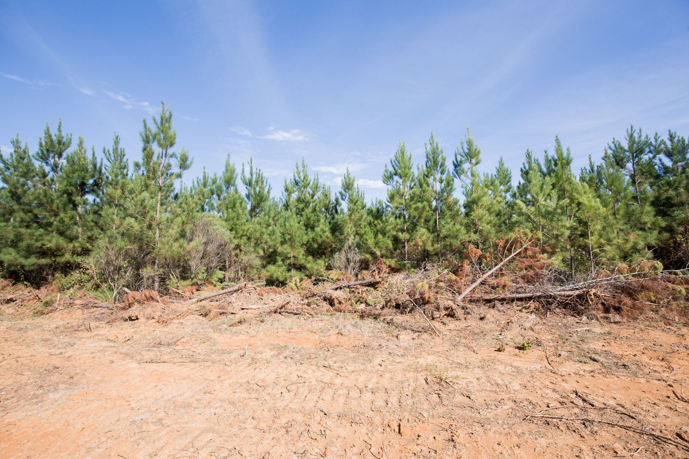 Brentwood Tract 14 photo 11