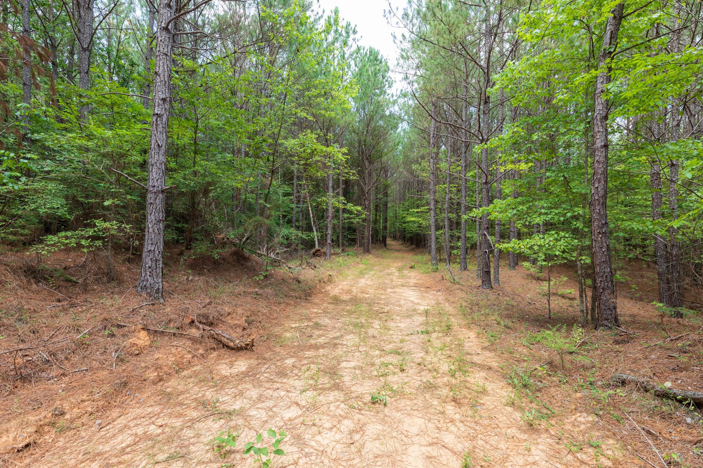 Whiskey Ridge Tract 25 photo 2