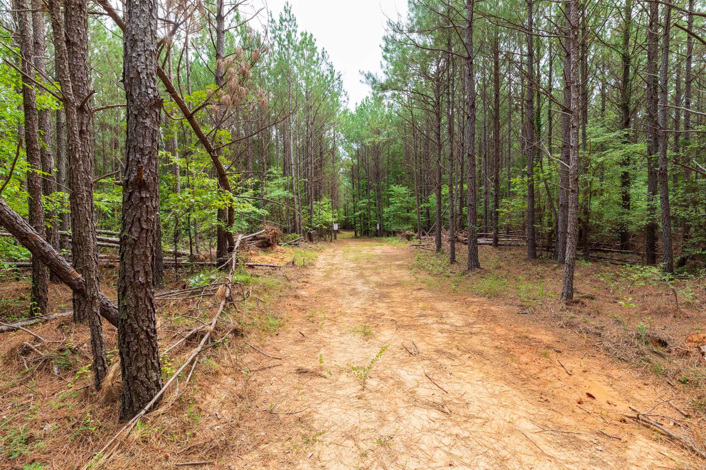 Whiskey Ridge Tract 25 photo 6
