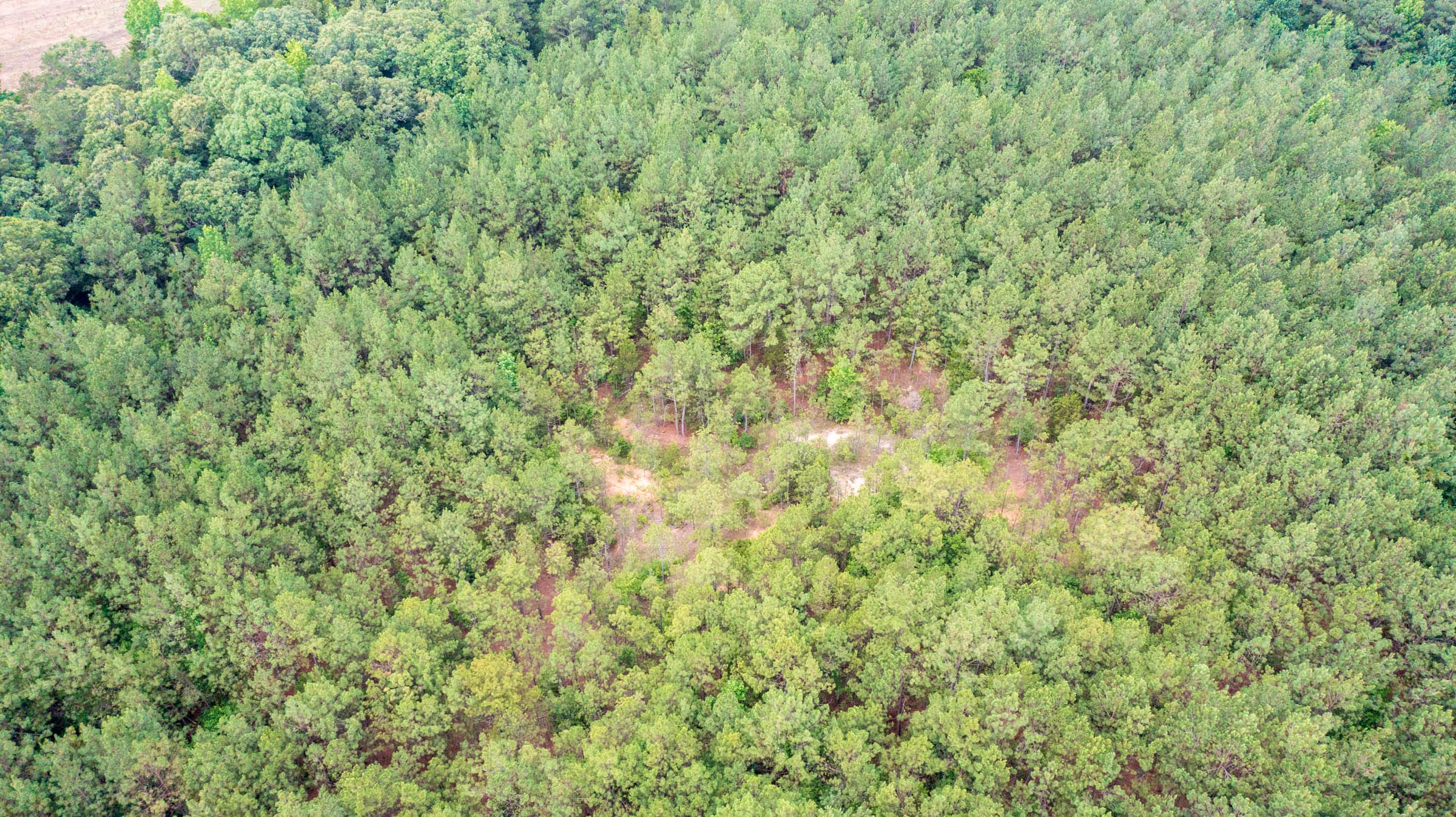 Whiskey Ridge Tract 25 photo 1