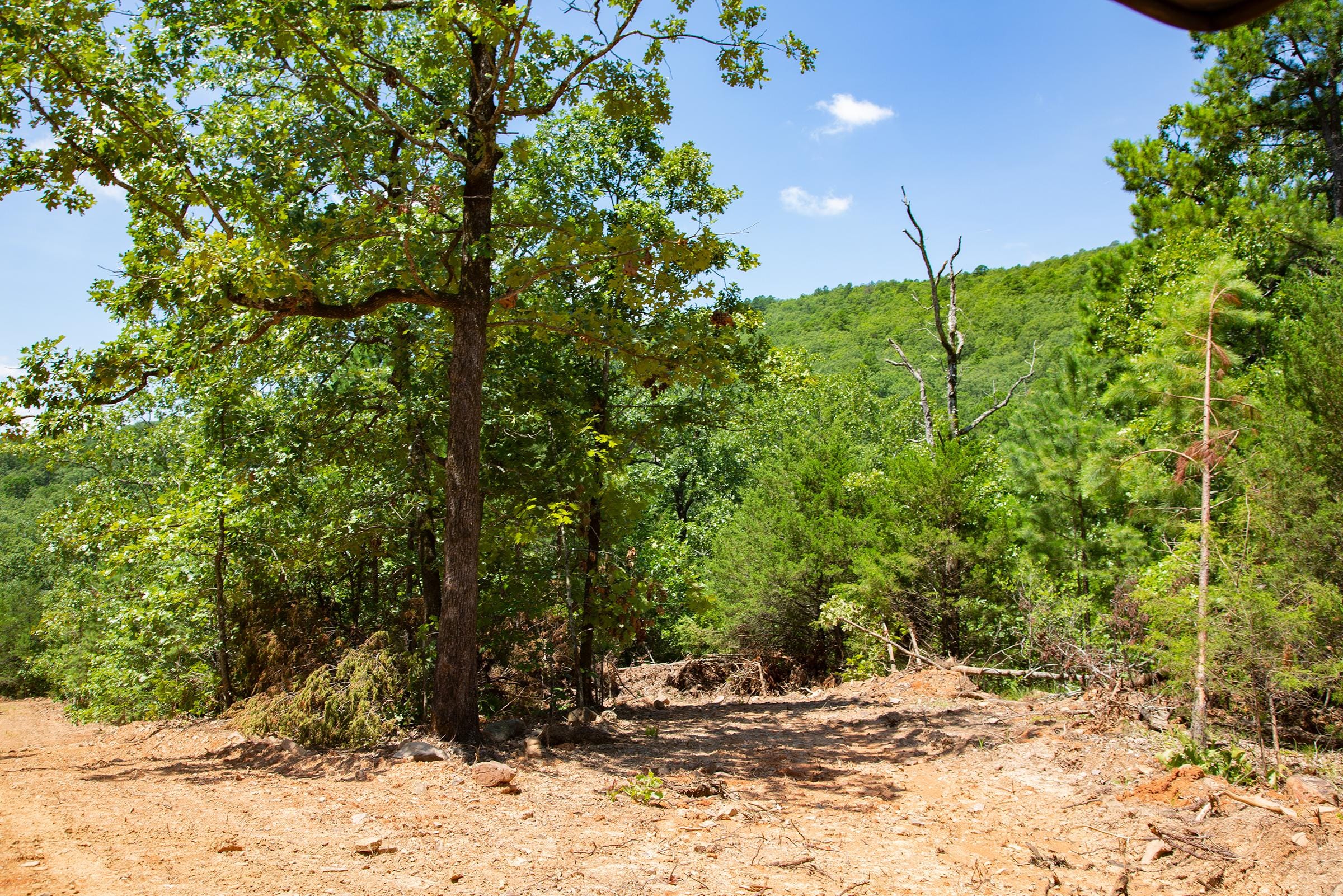 Tyler Stone Ranch Tract 76 photo 3