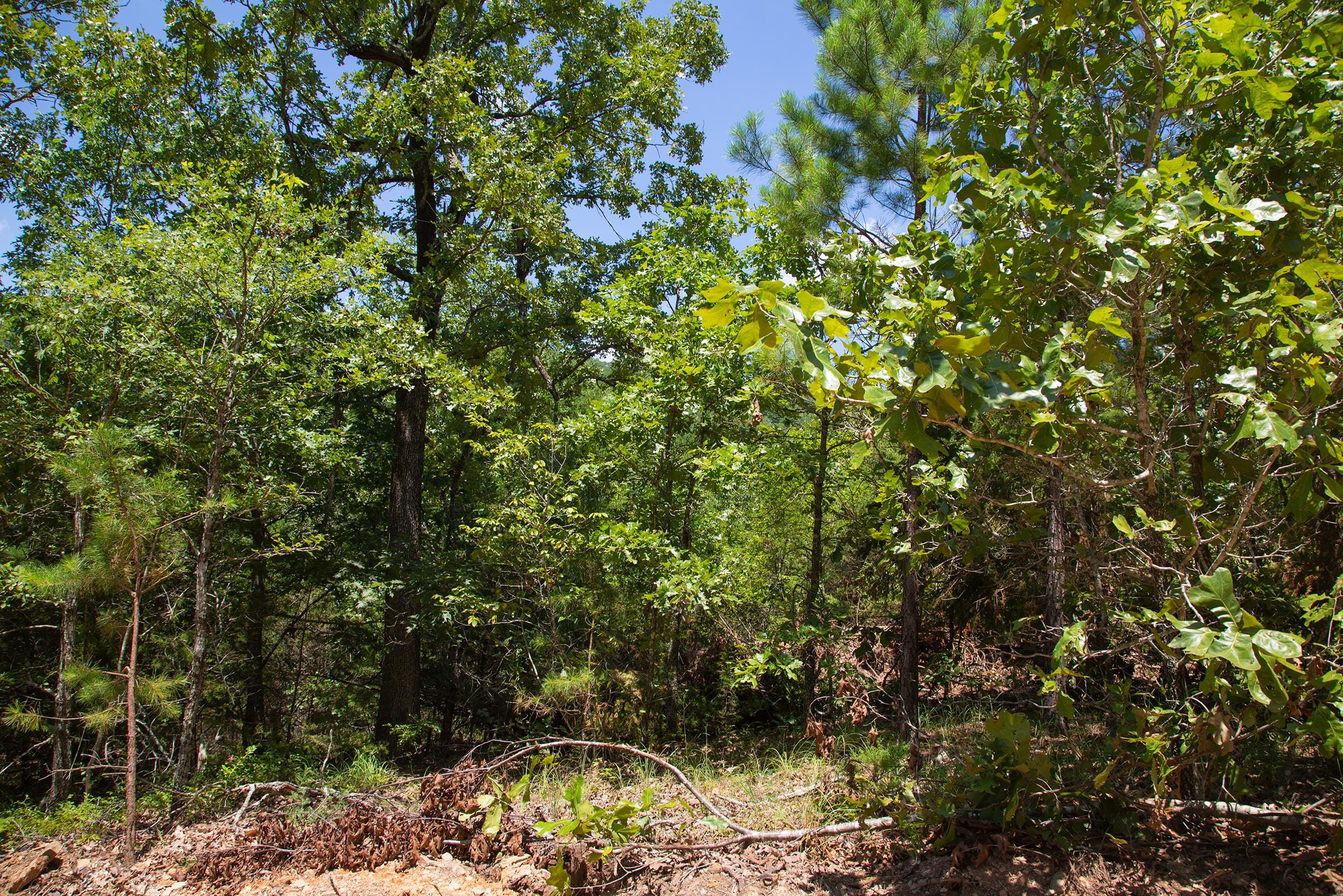 Tyler Stone Ranch Tract 76 photo 4