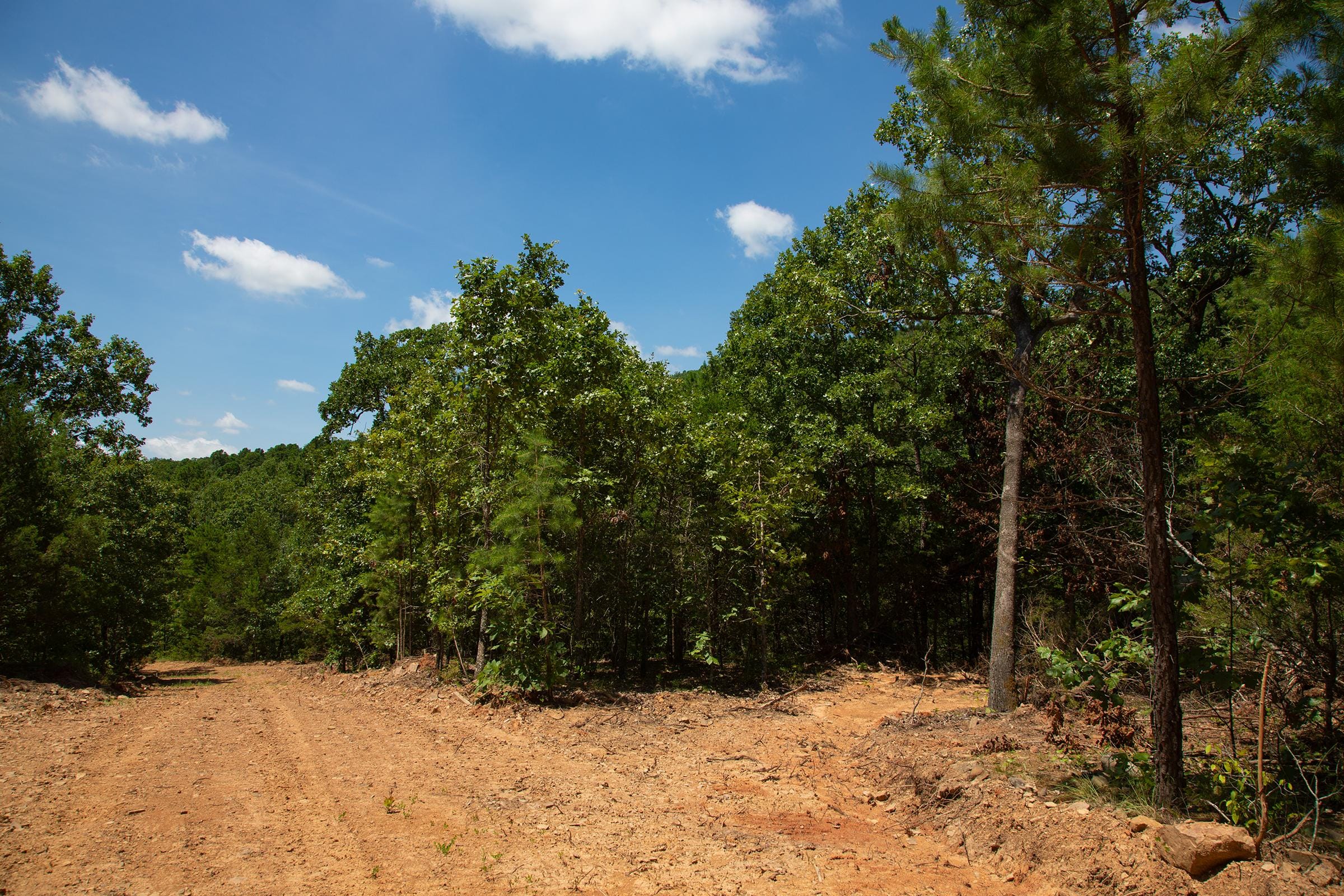 Tyler Stone Ranch Tract 76 photo 5