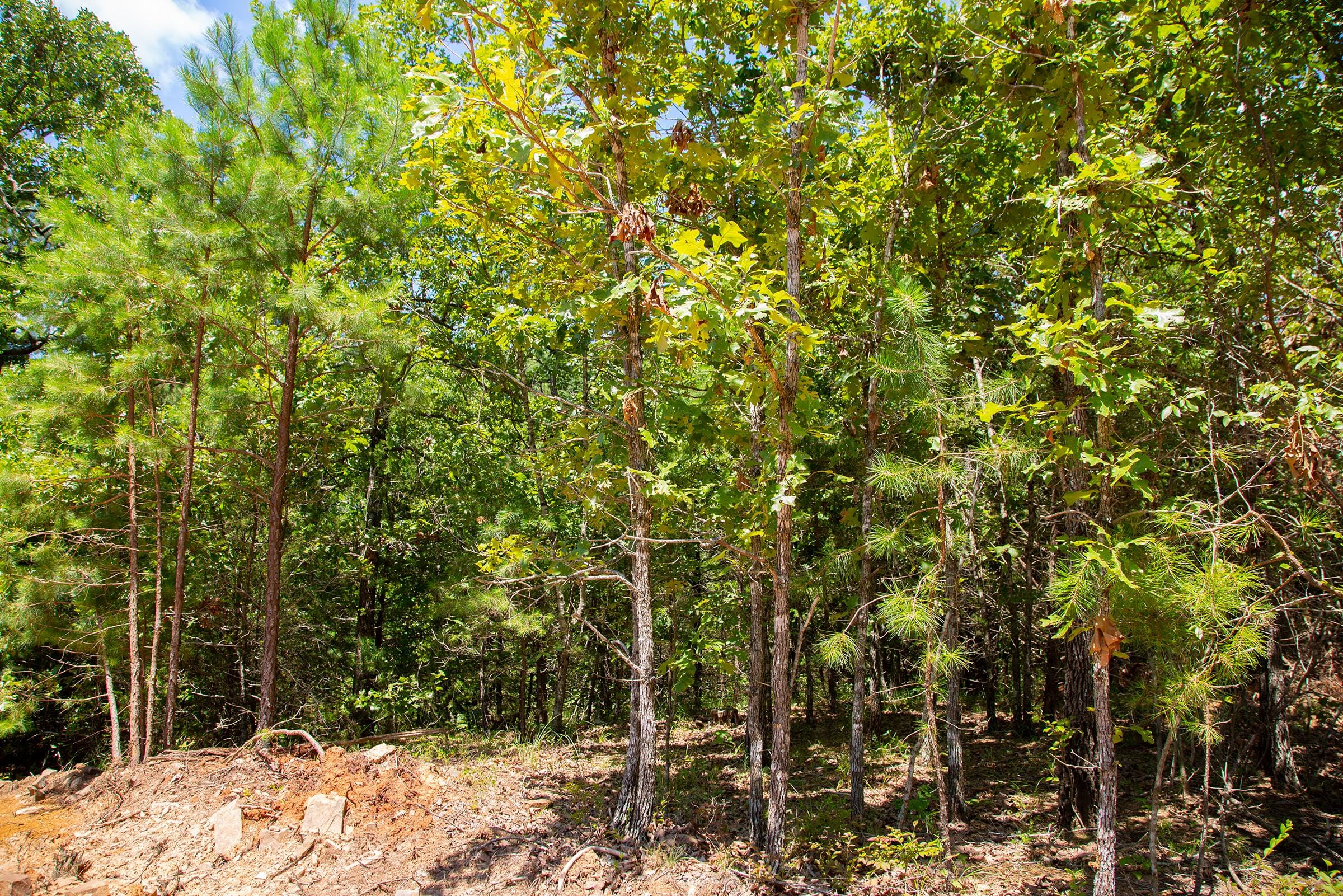 Tyler Stone Ranch Tract 76 photo 7