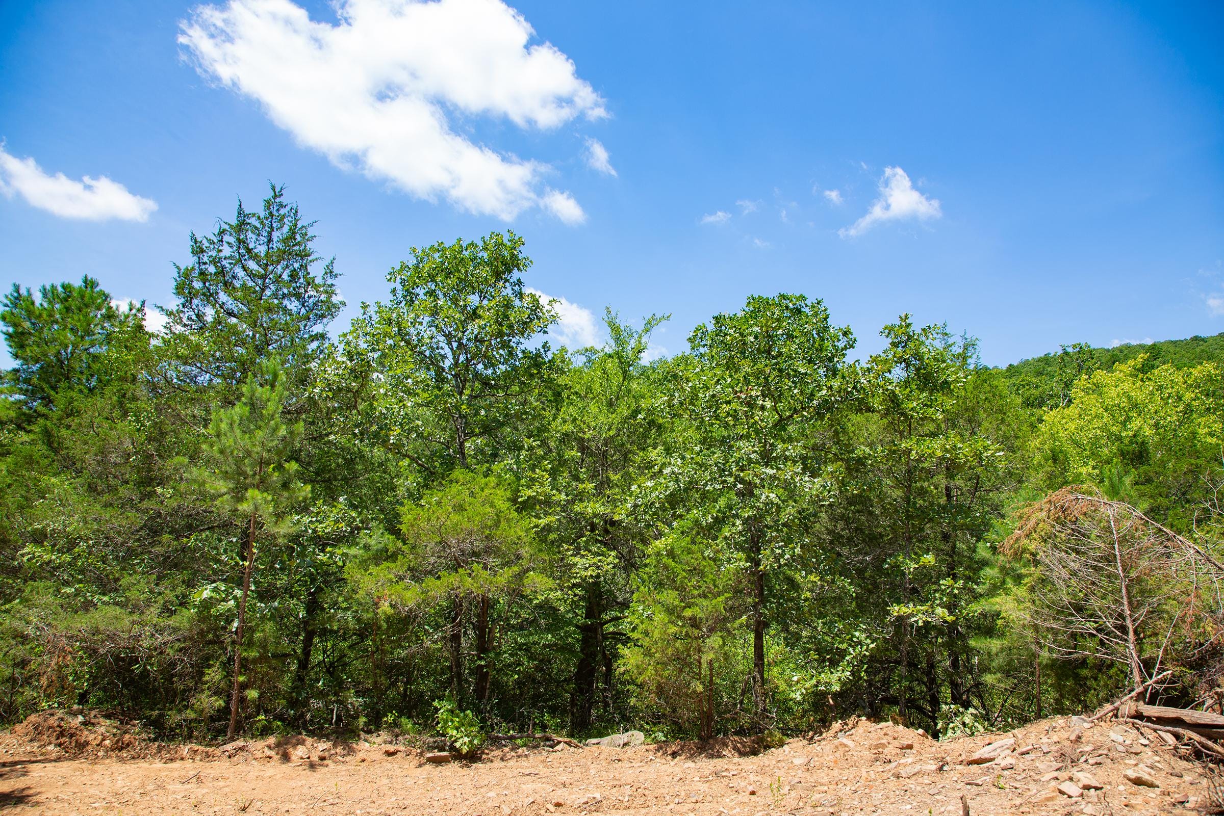 Tyler Stone Ranch Tract 76 photo 8