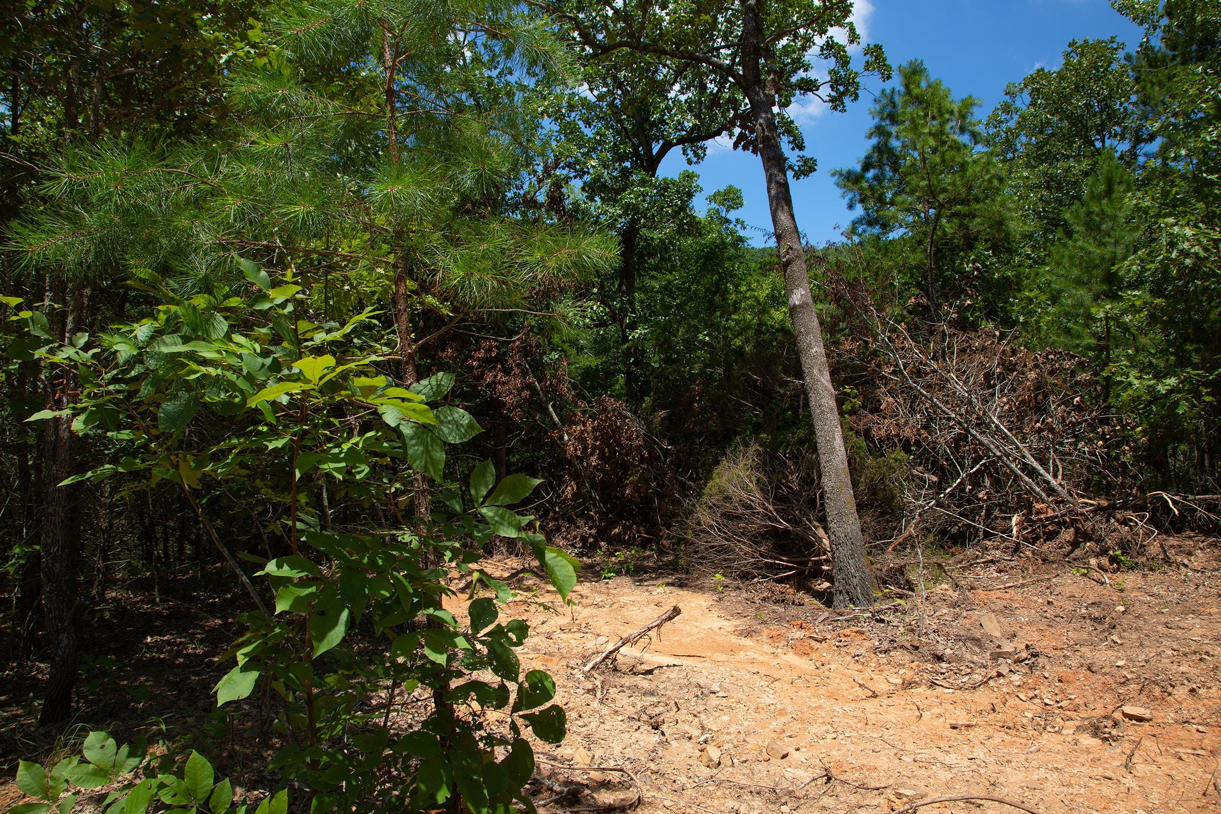 Tyler Stone Ranch Tract 76 photo 9