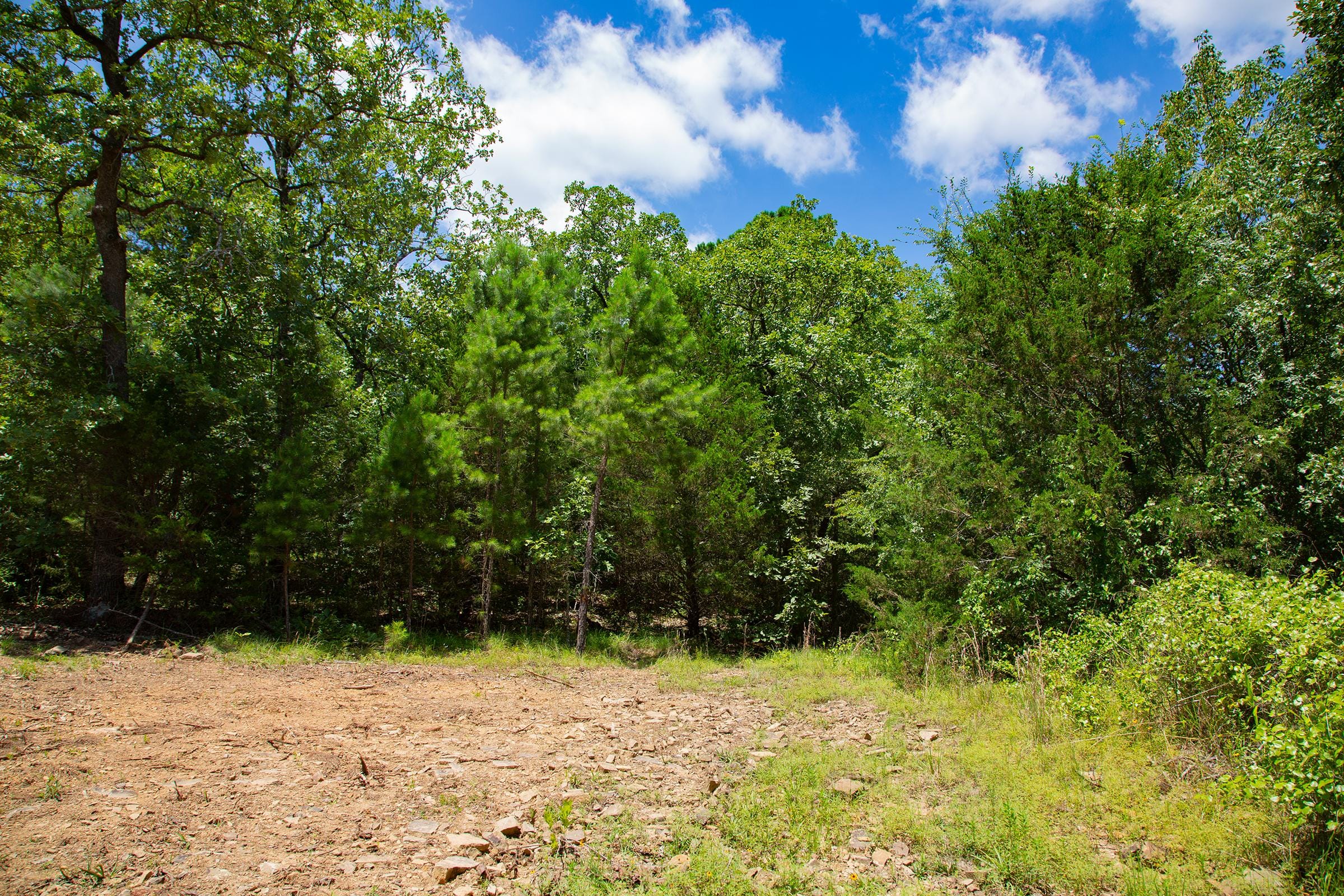 Tyler Stone Ranch Tract 76 photo 13