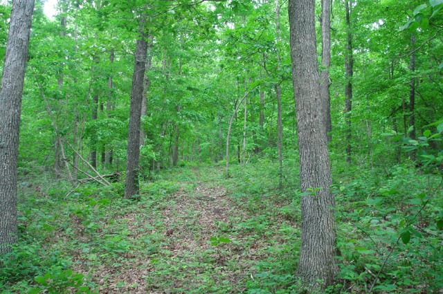 Whispering Oaks Tract 1 photo 5