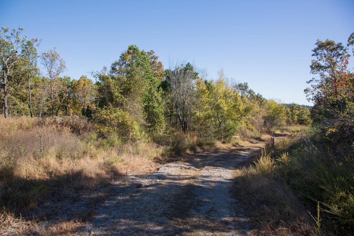Stone Creek Phase I Tract 161 photo 2