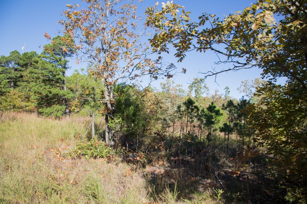 Stone Creek Phase I Tract 161 photo 6