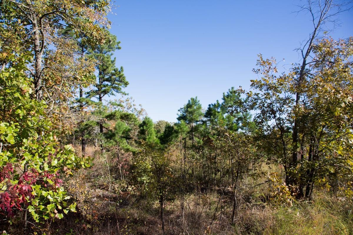 Stone Creek Phase I Tract 161 photo 8