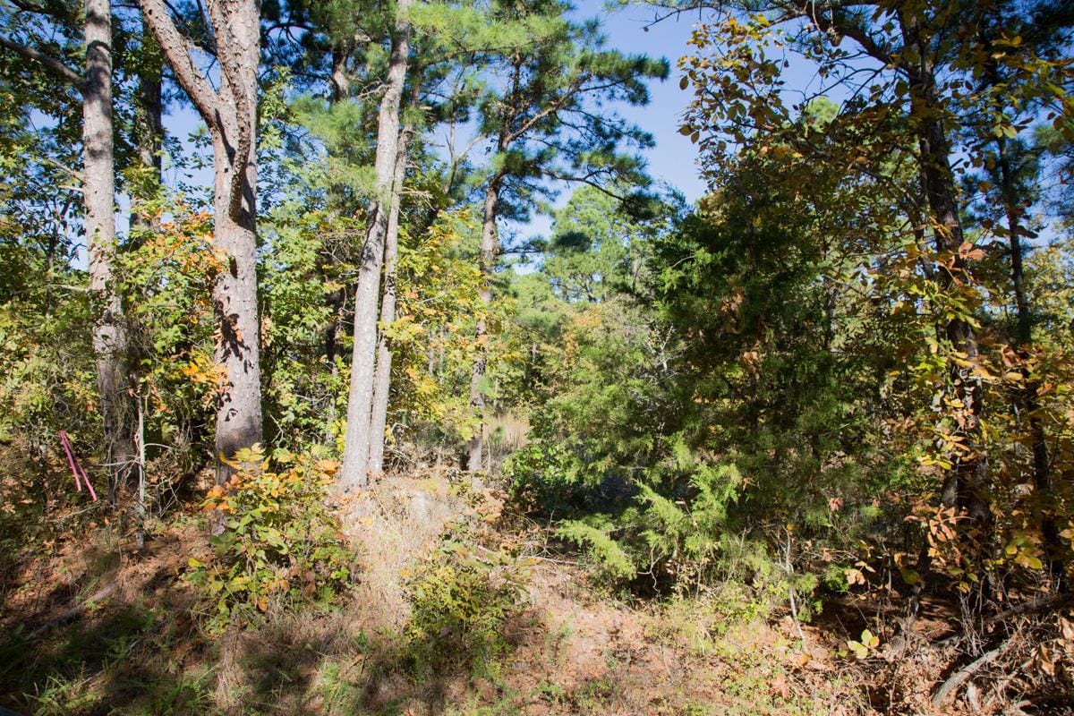 Stone Creek Phase I Tract 161 photo 9