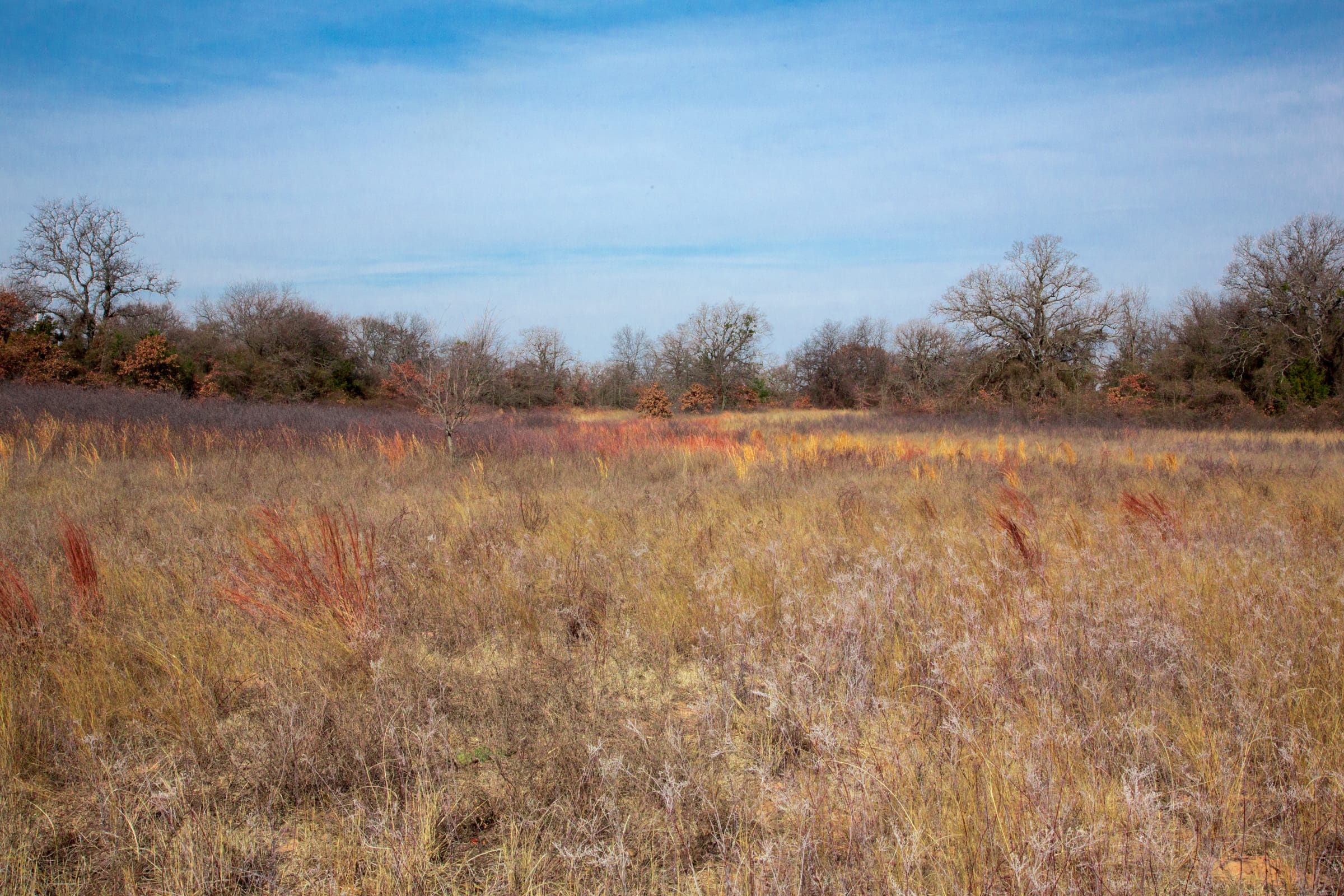 Legacy Ranch Tract 8 photo 5