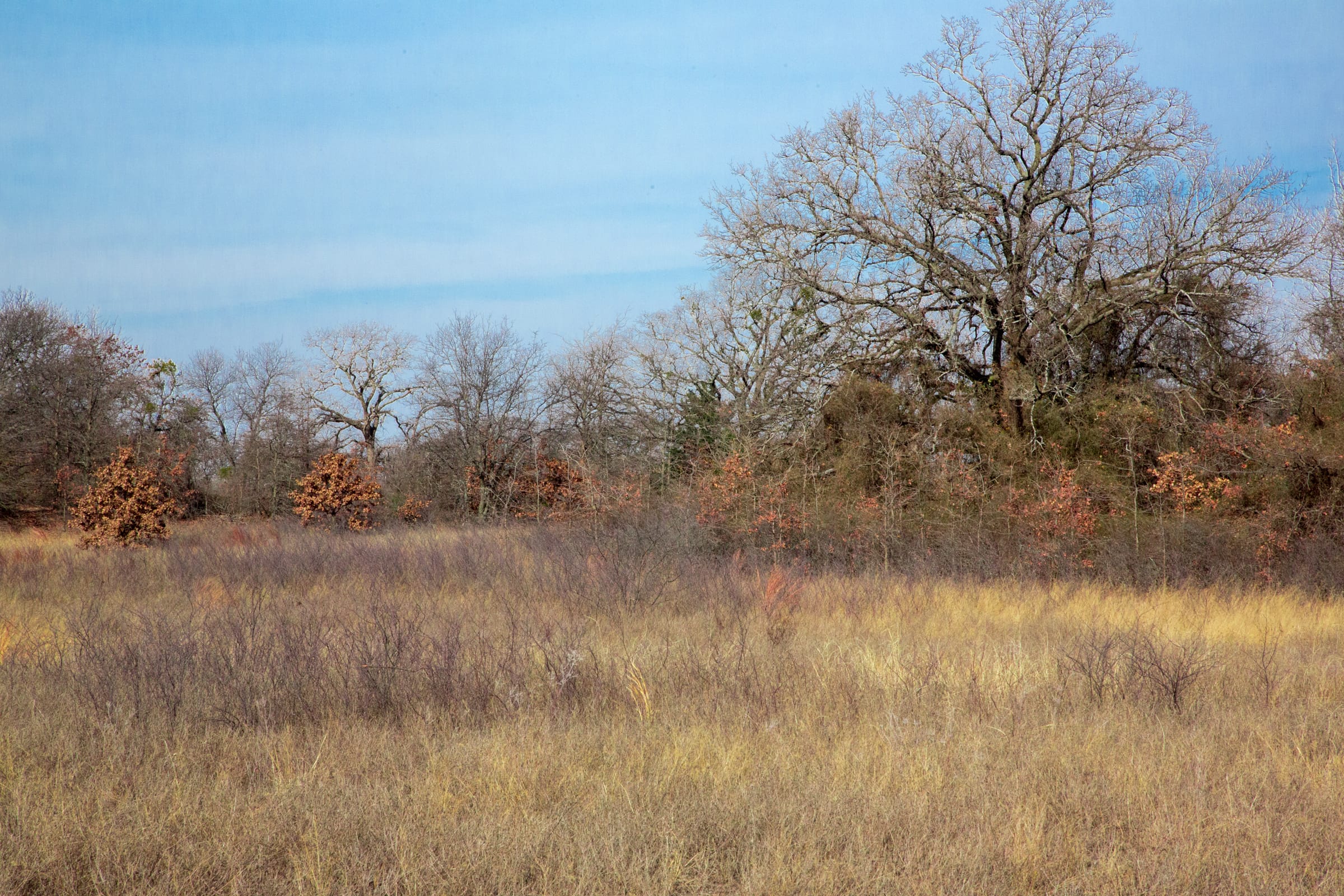 Legacy Ranch Tract 8 photo 10
