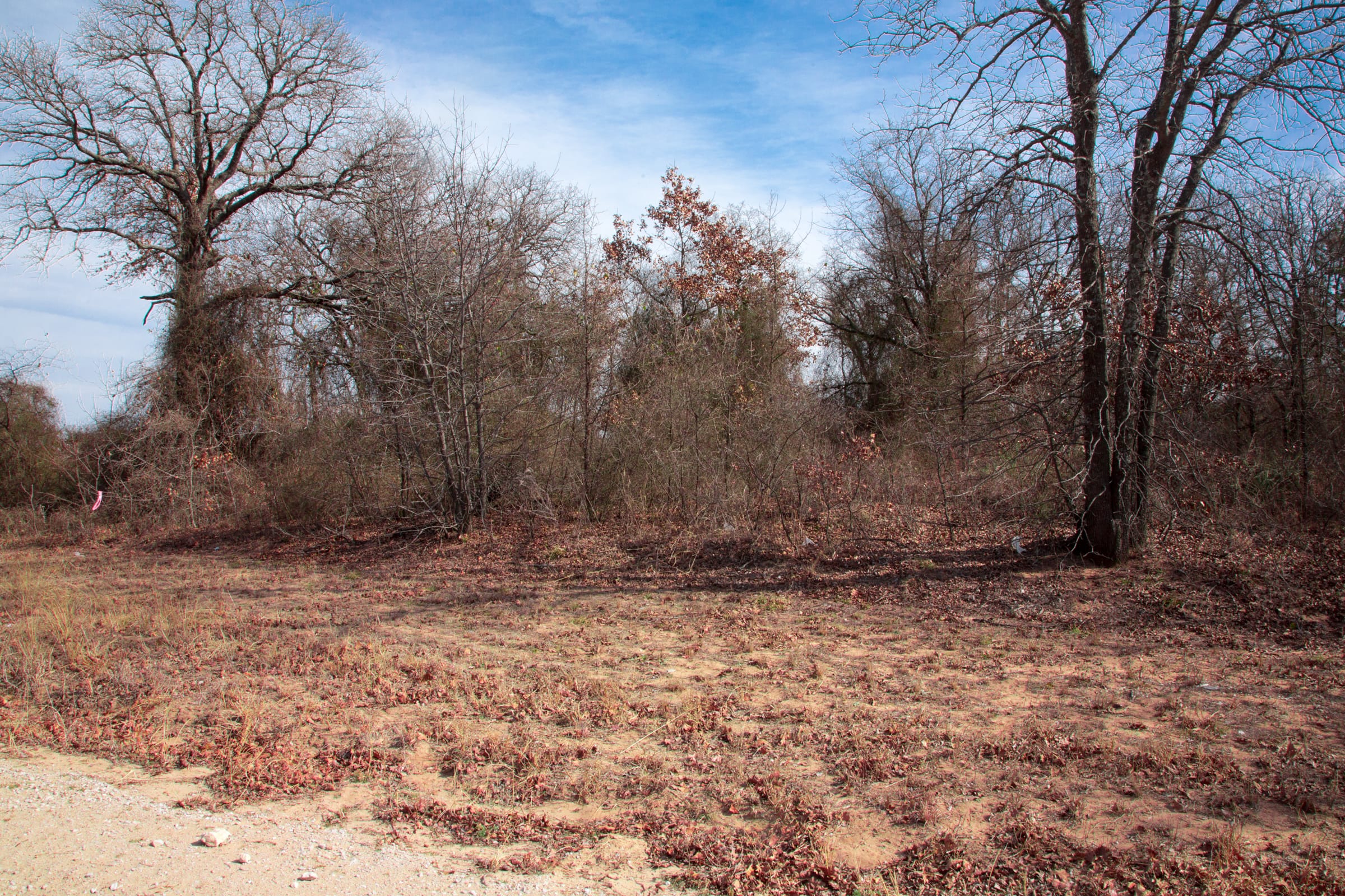 Legacy Ranch Tract 8 photo 13