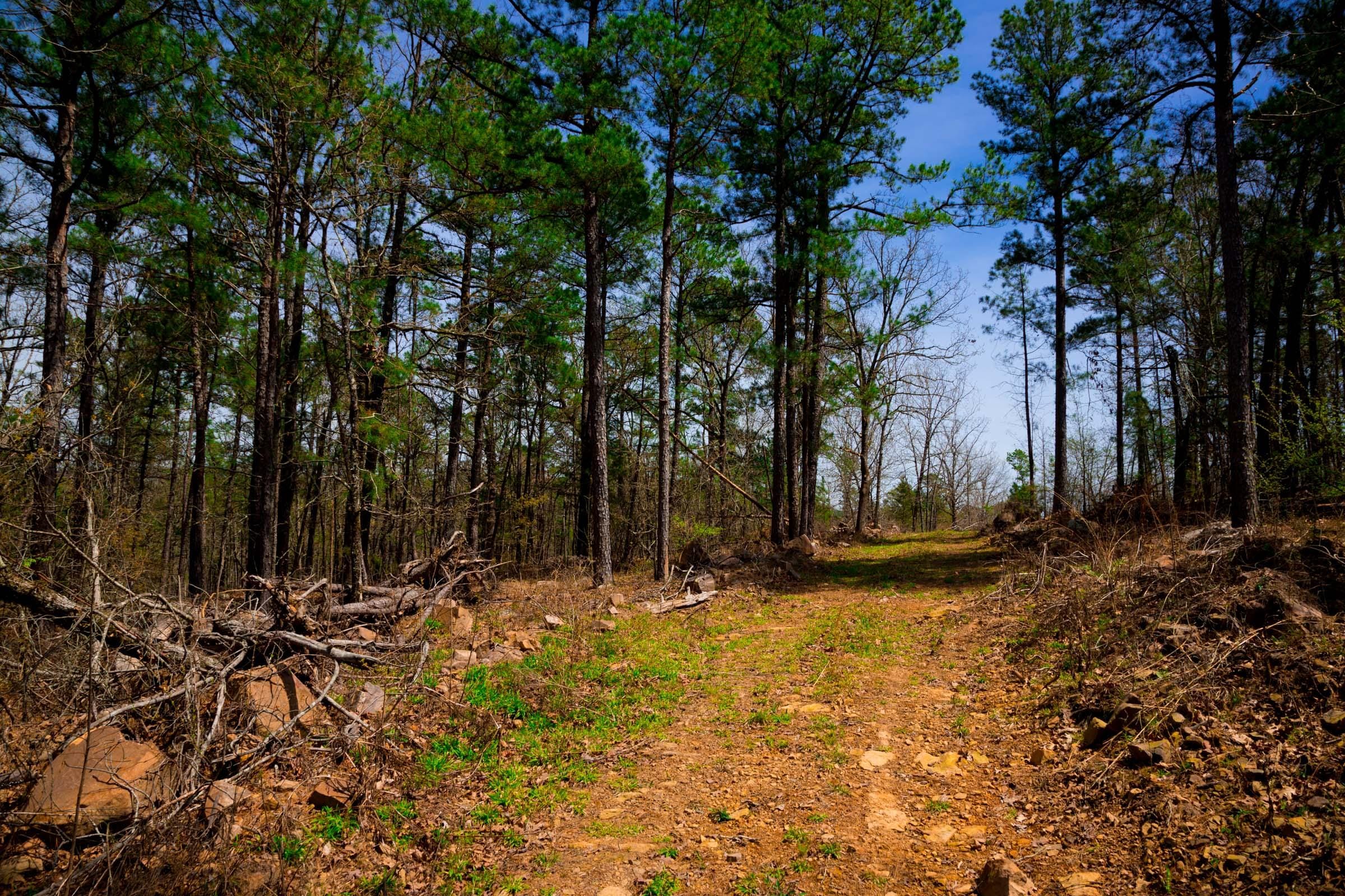 Stone Creek Phase II Tract 192 photo 2