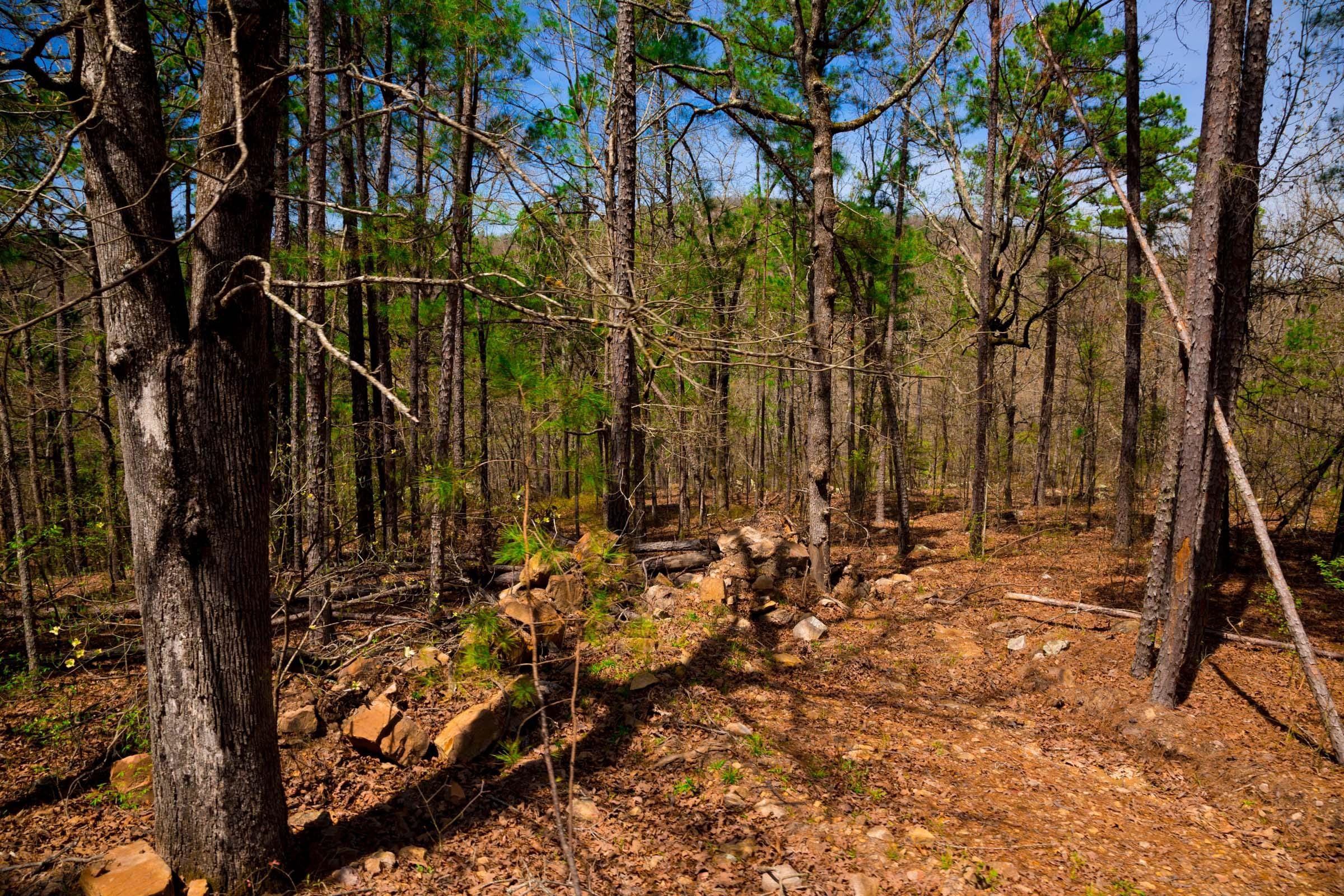 Stone Creek Phase II Tract 192 photo 7