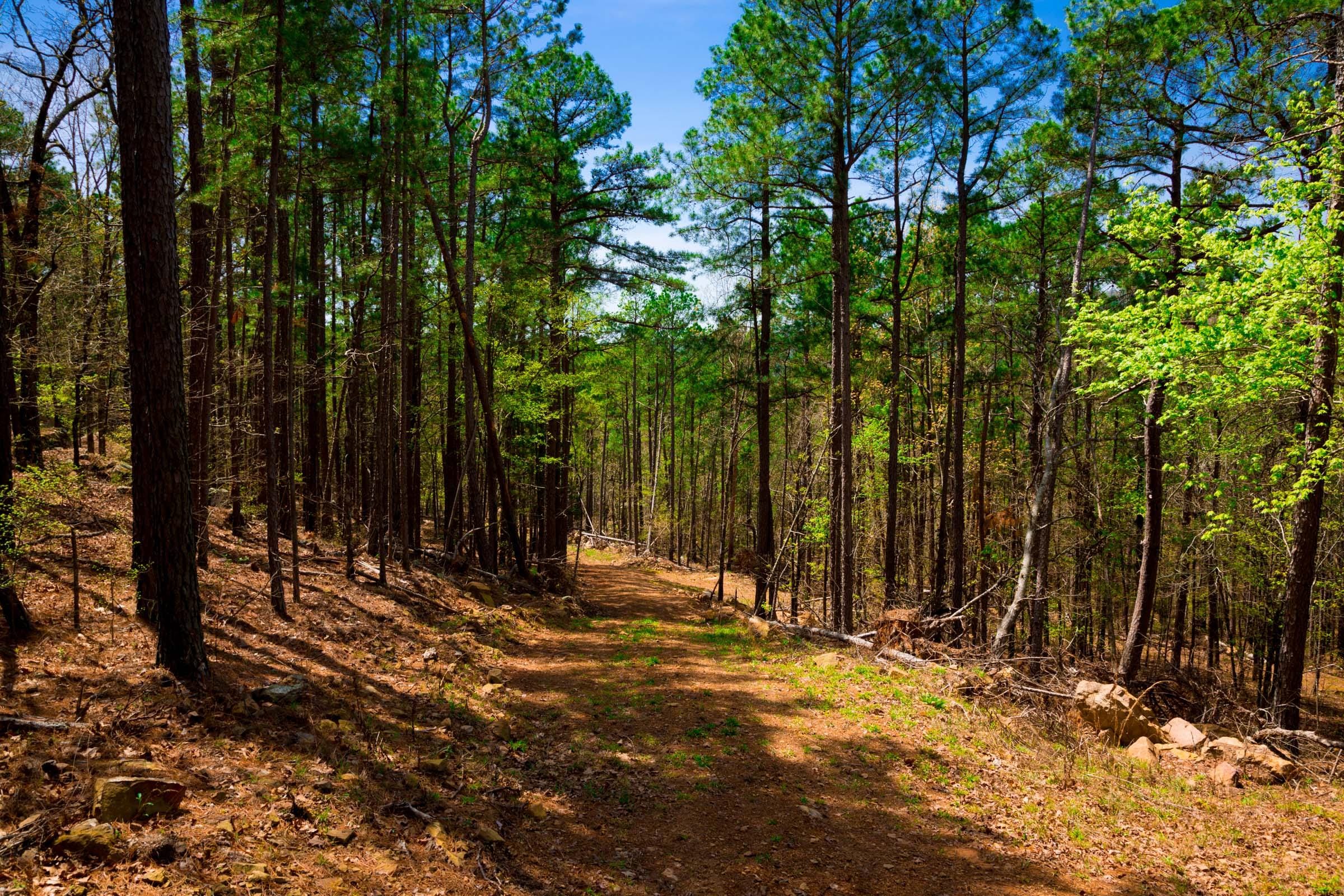 Stone Creek Phase II Tract 192 photo 8
