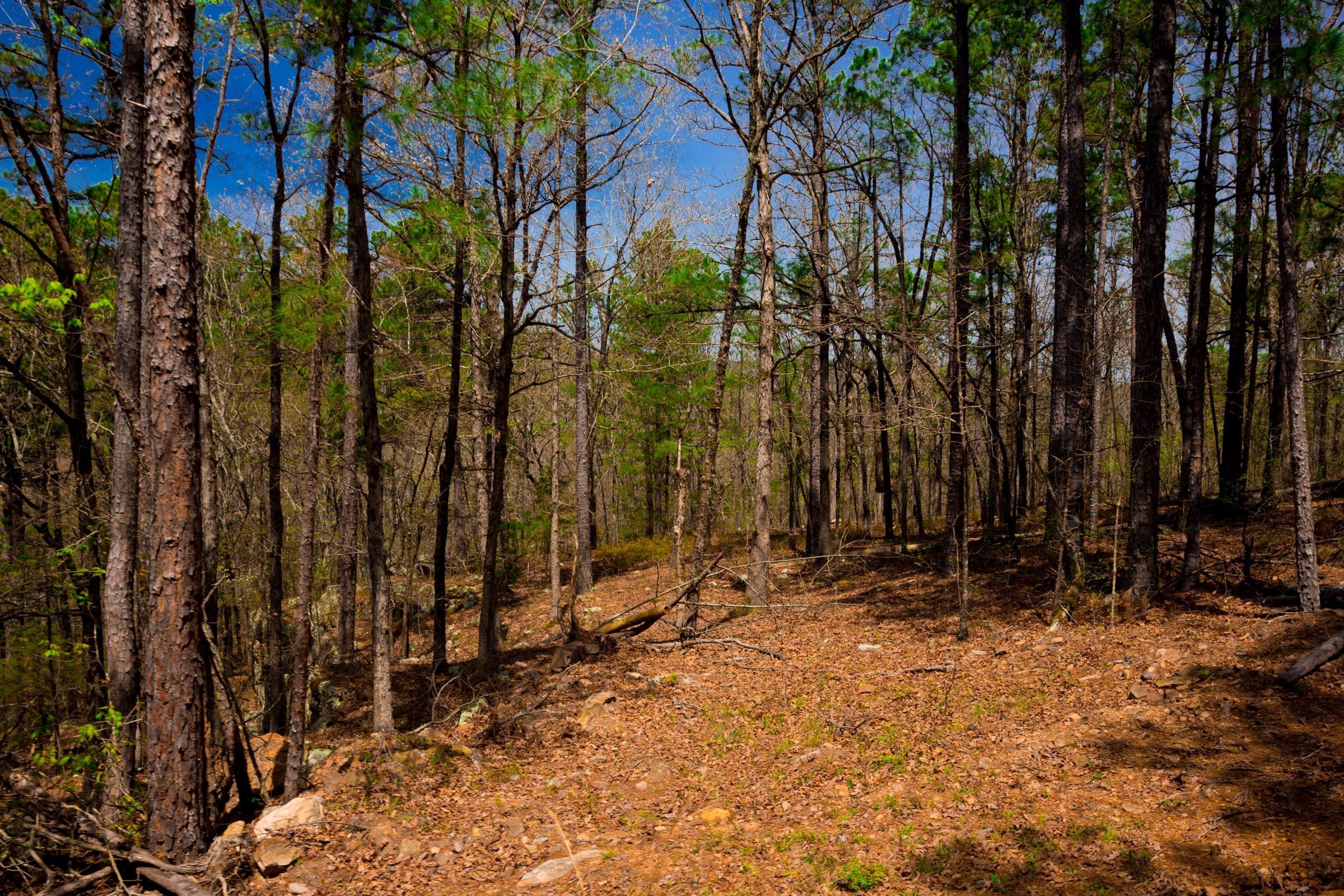 Stone Creek Phase II Tract 192 photo 9