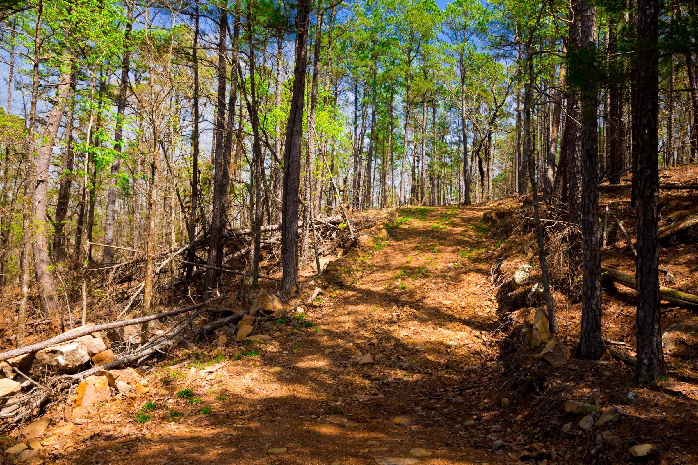 Stone Creek Phase II Tract 192 photo 10