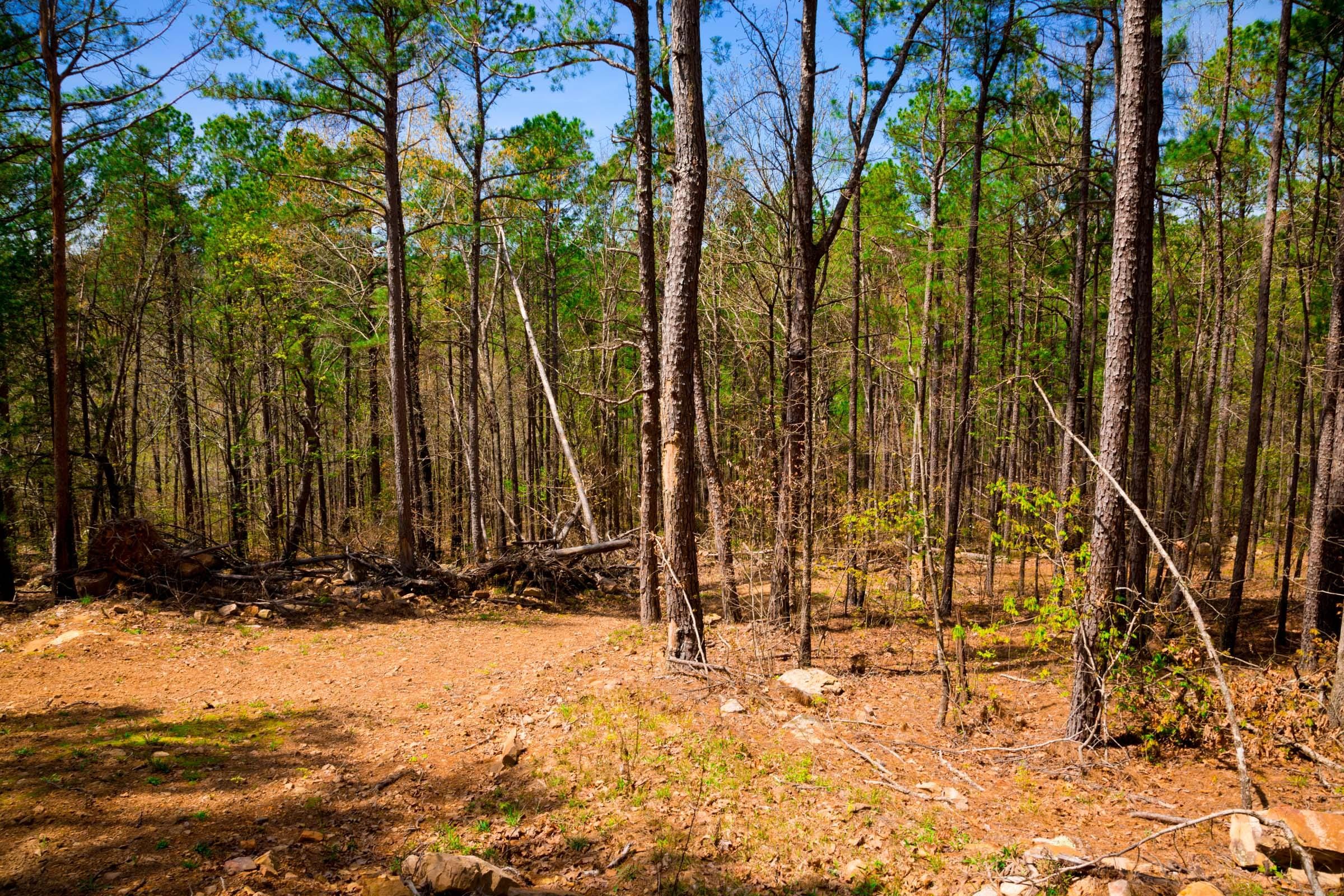 Stone Creek Phase II Tract 192 photo 11