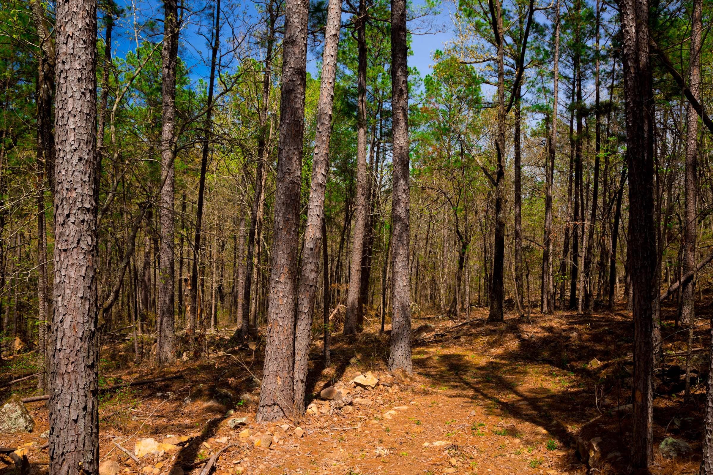 Stone Creek Phase II Tract 192 photo 12