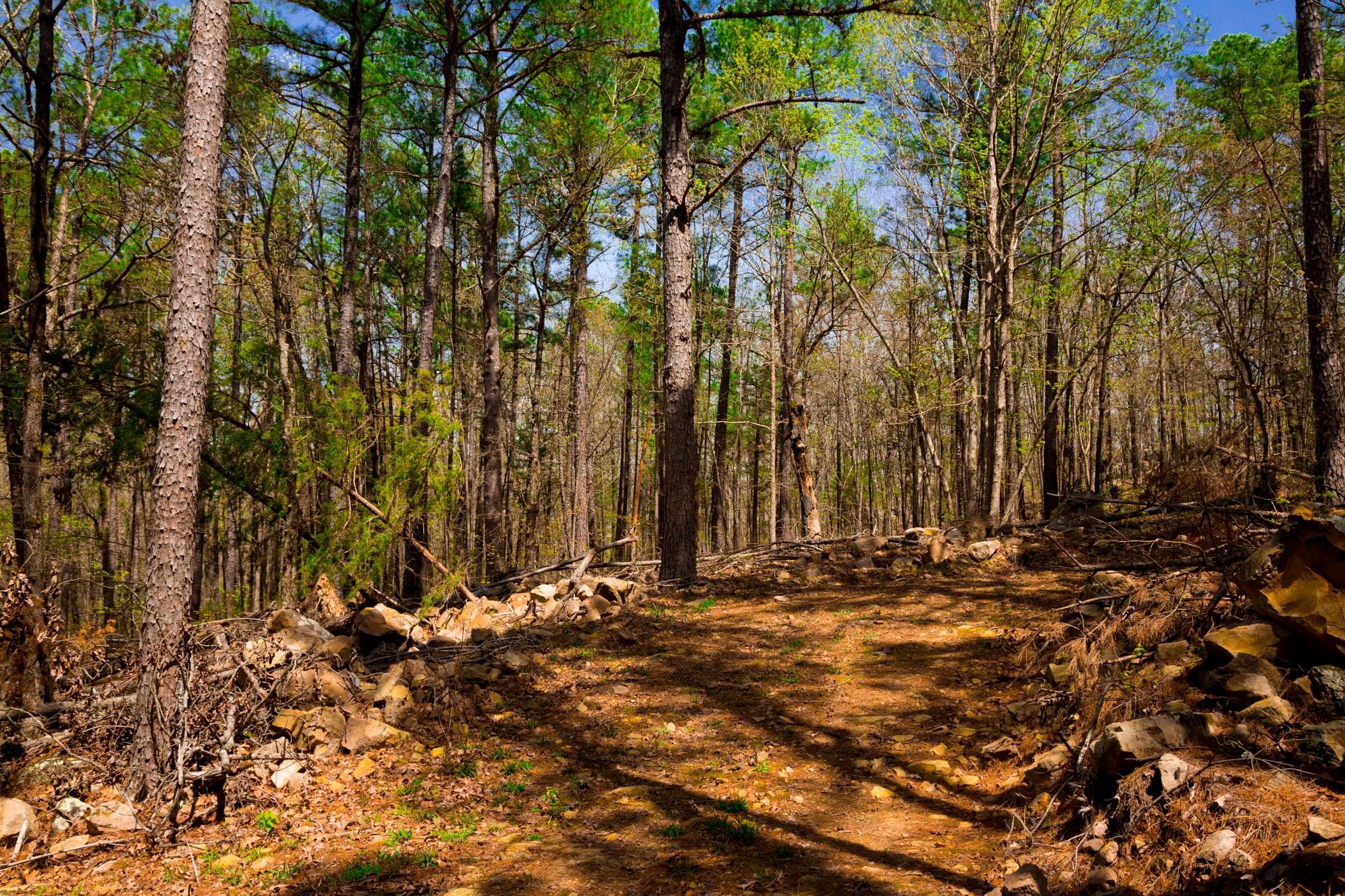 Stone Creek Phase II Tract 192 photo 14