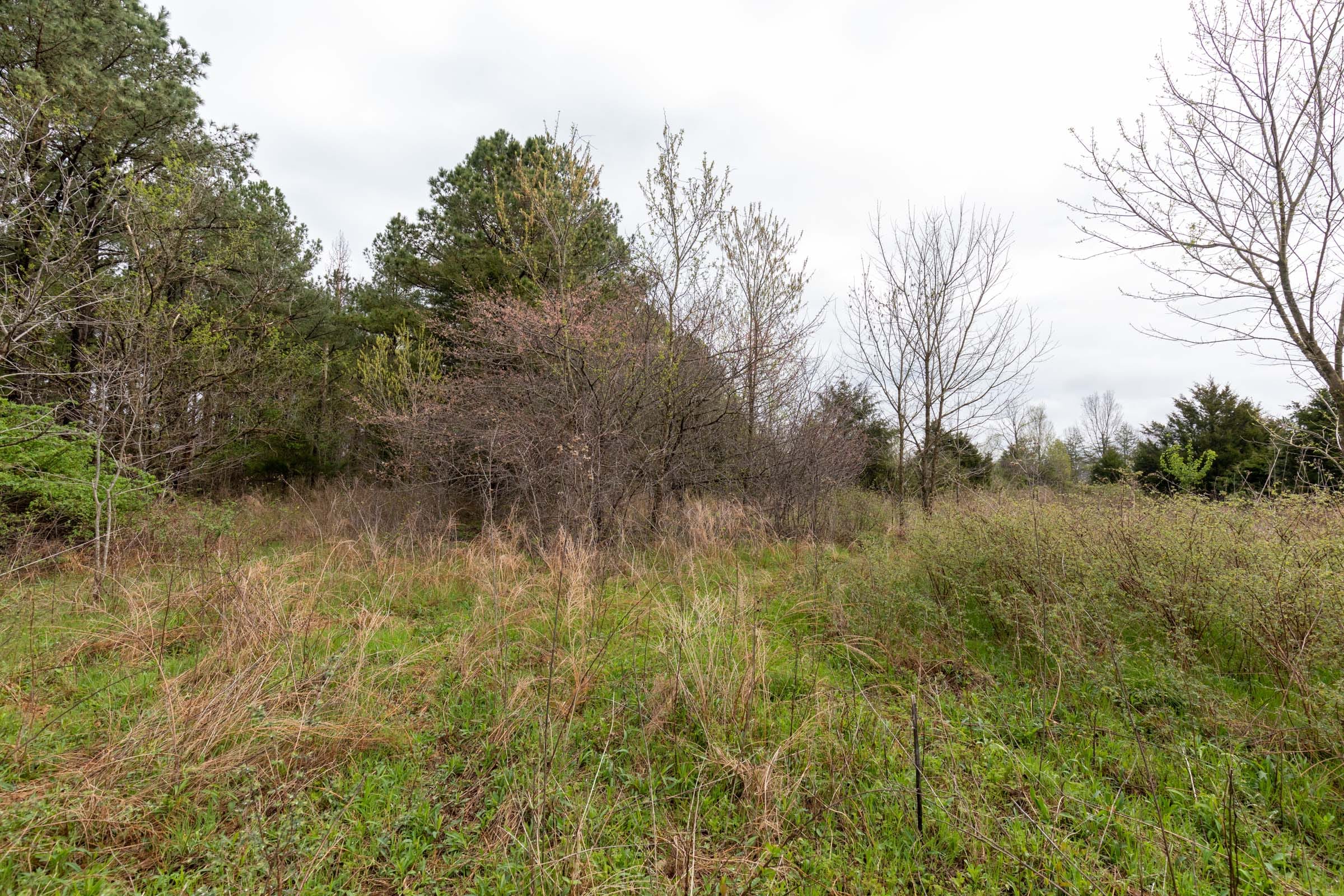 Woodland Heights Tract 21 photo 3