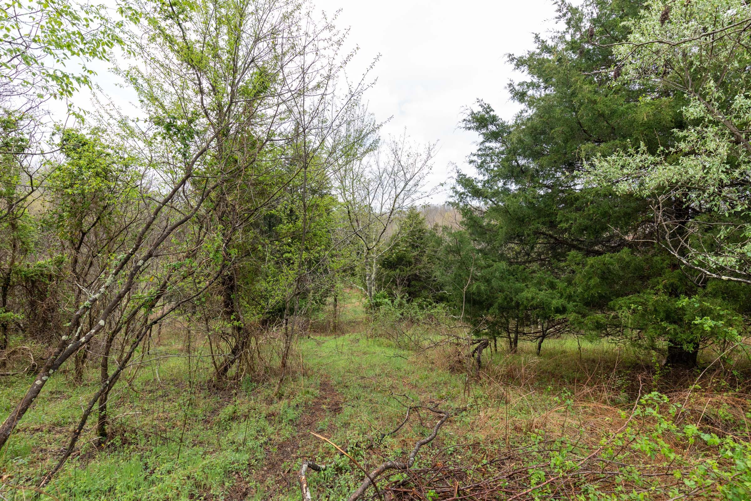 Woodland Heights Tract 21 photo 4