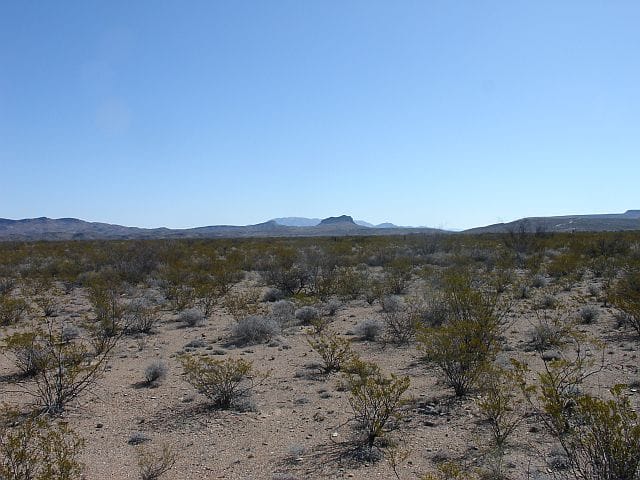 Terlingua Ranch Tract 6298 photo 8