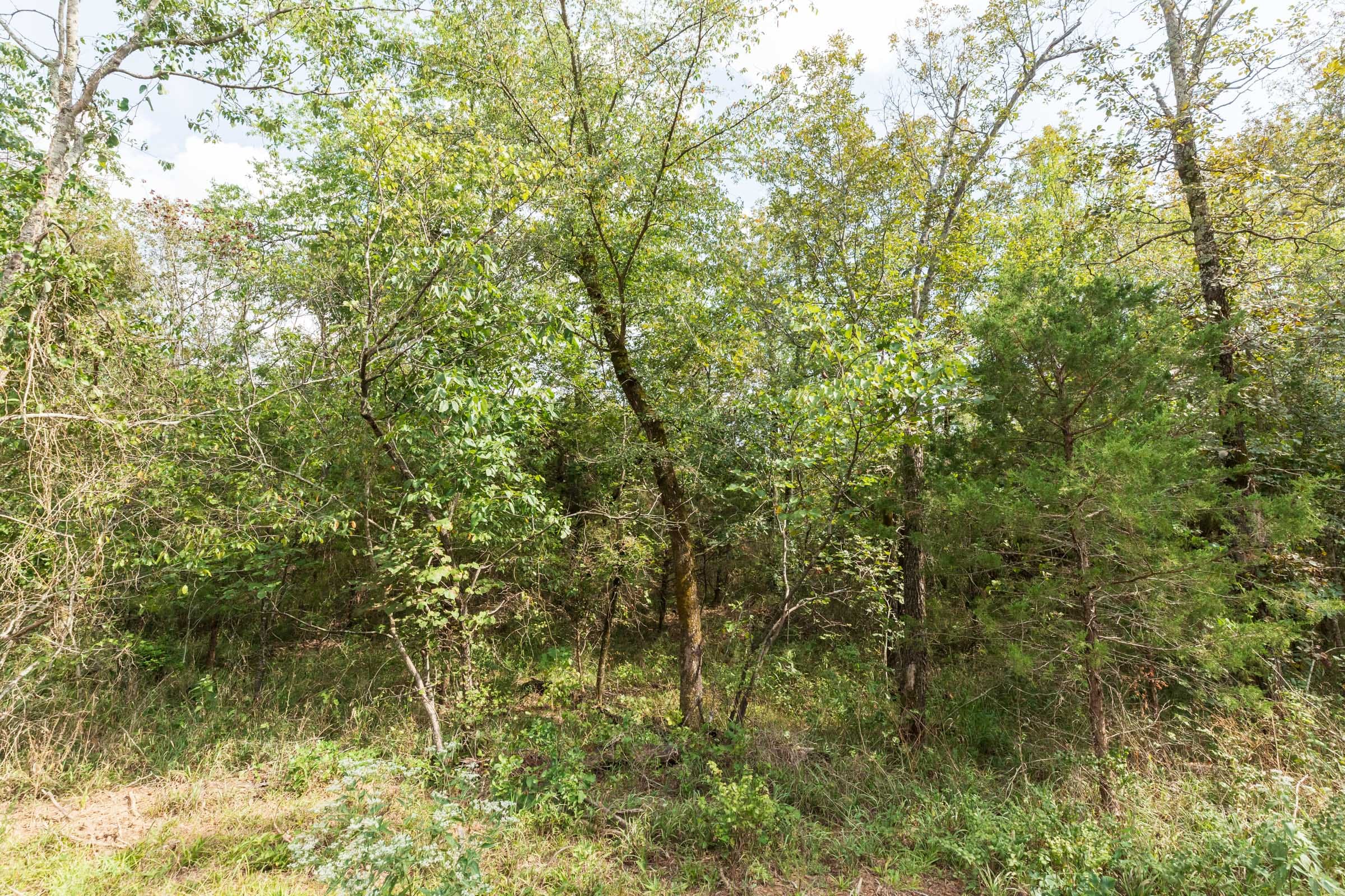 Stone Bridge Phase V Tract 408 photo 10