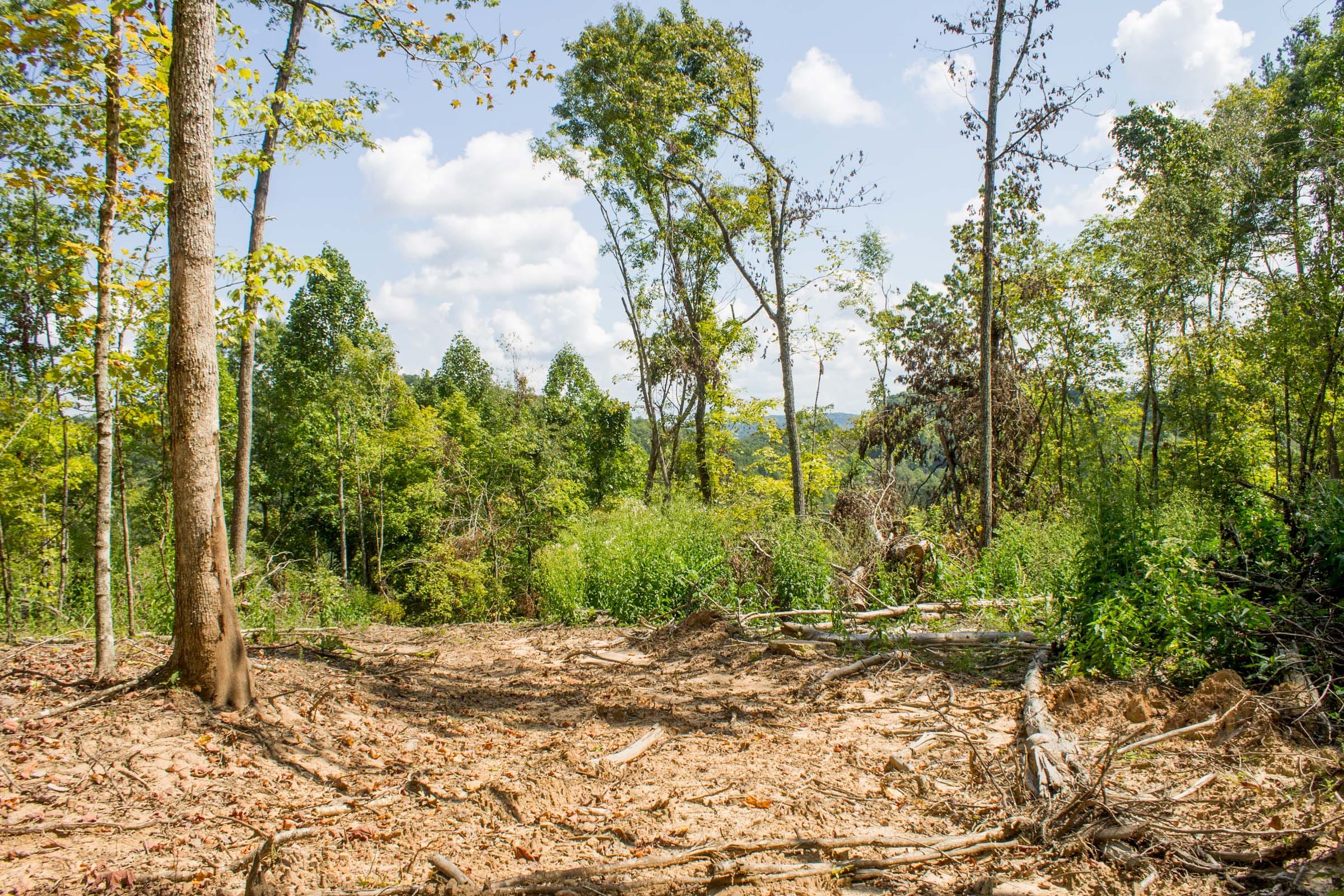 Buck Run Ridge Tract 14 photo 8