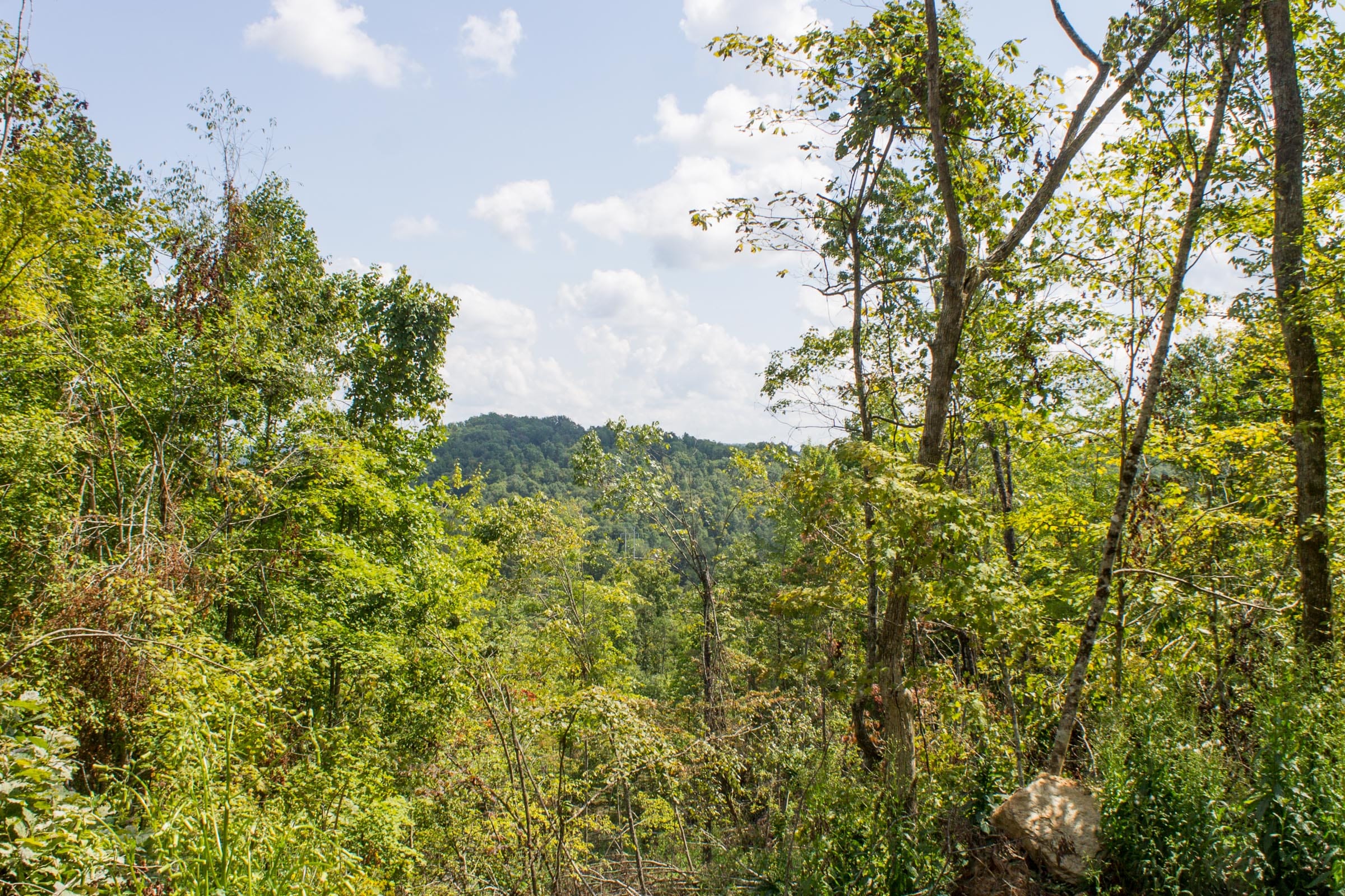 Buck Run Ridge Tract 14 photo 11