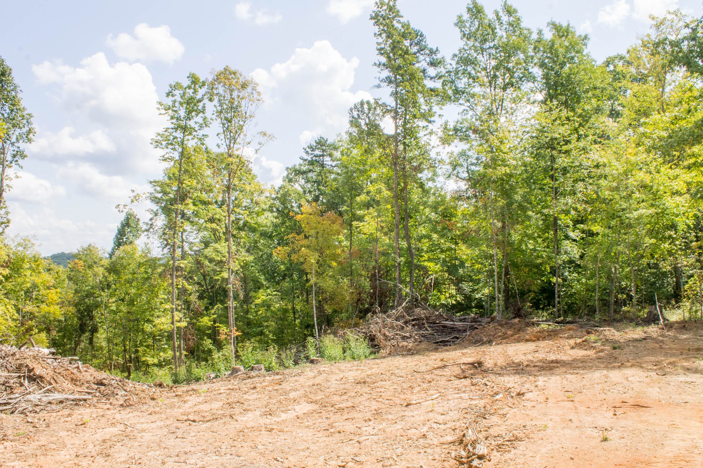 Buck Run Ridge Tract 14 photo 13