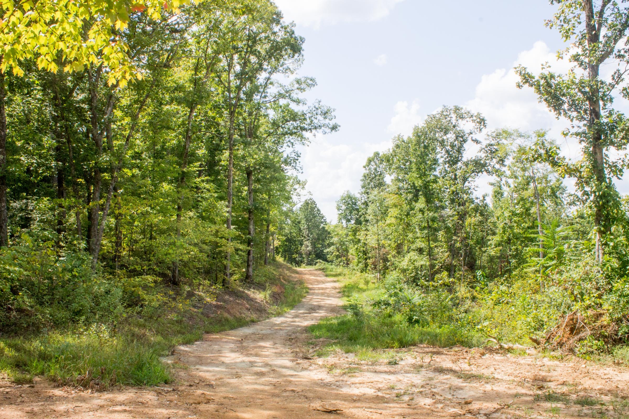 Buck Run Ridge Tract 14 photo 1