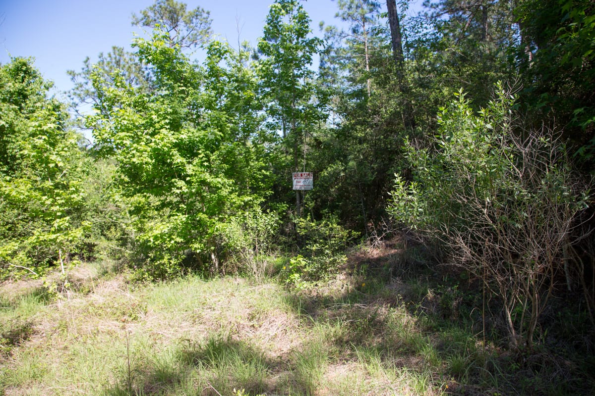 Rayburn Country Tract 285 photo 3