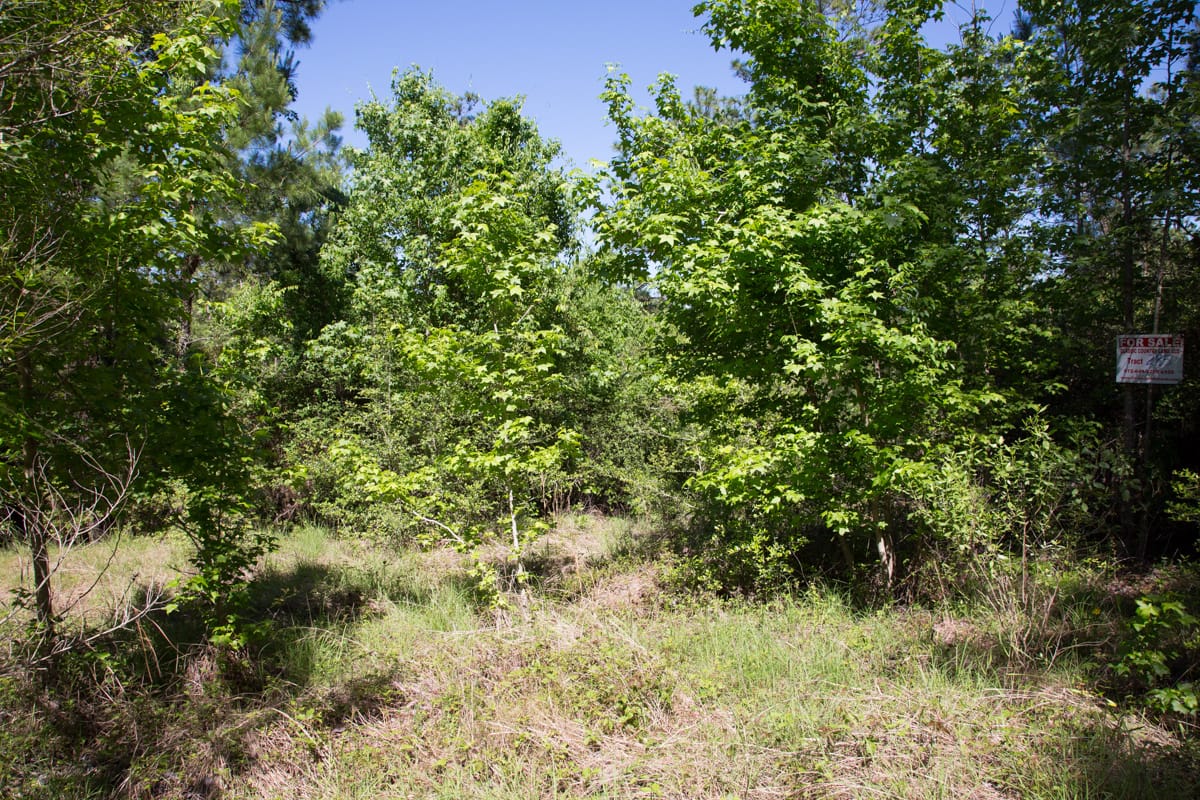Rayburn Country Tract 285 photo 7