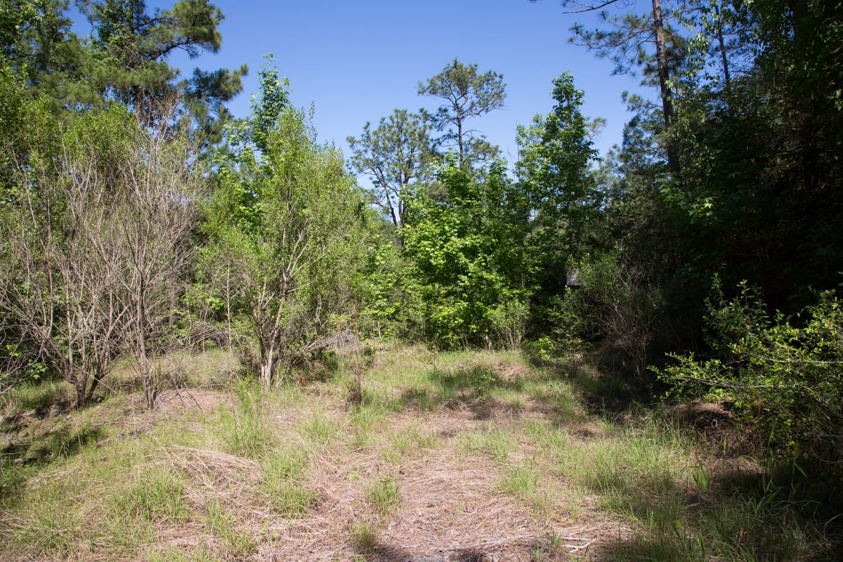 Rayburn Country Tract 285 photo 2