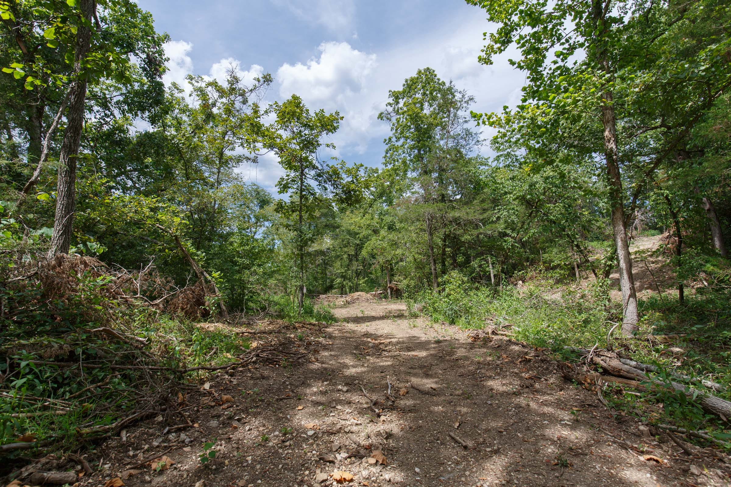 Wildwood Tract 14 photo 1