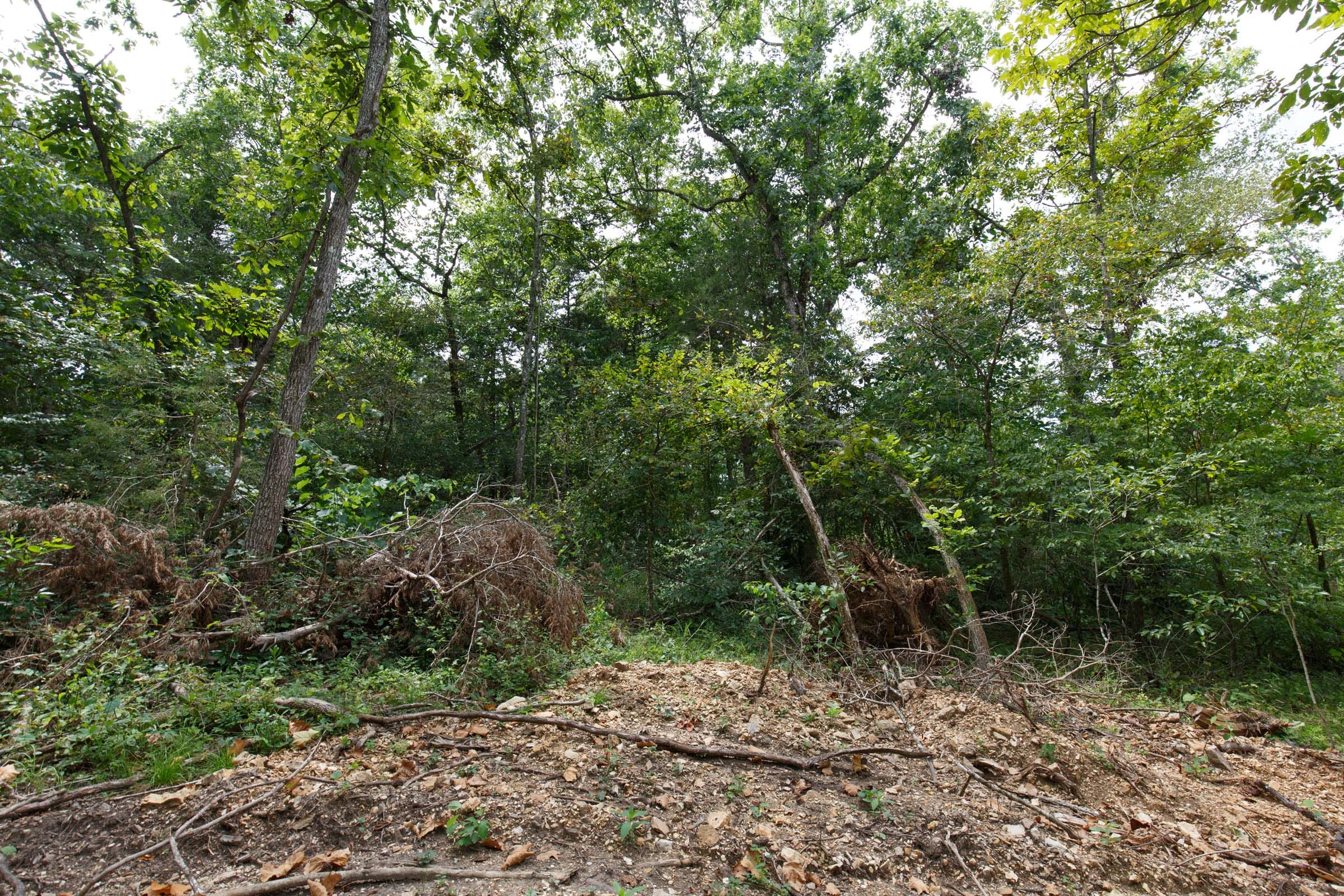 Wildwood Tract 14 photo 7