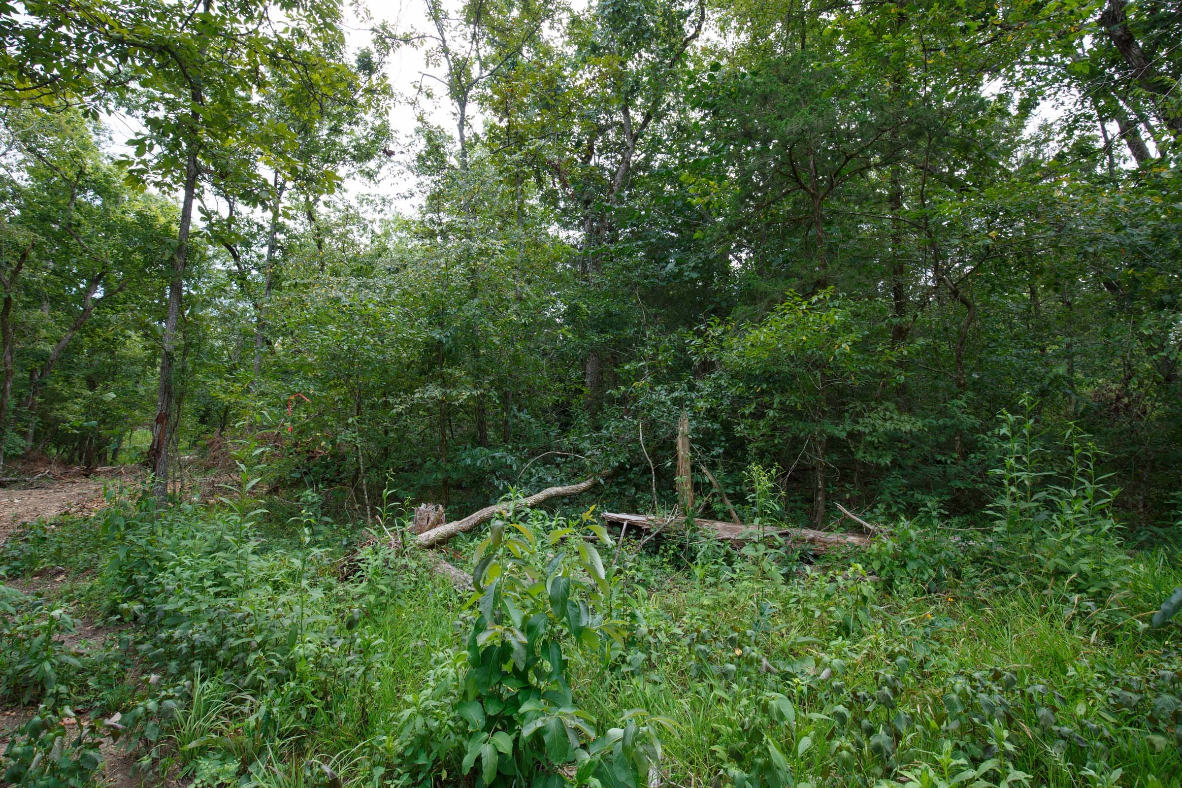 Wildwood Tract 14 photo 6