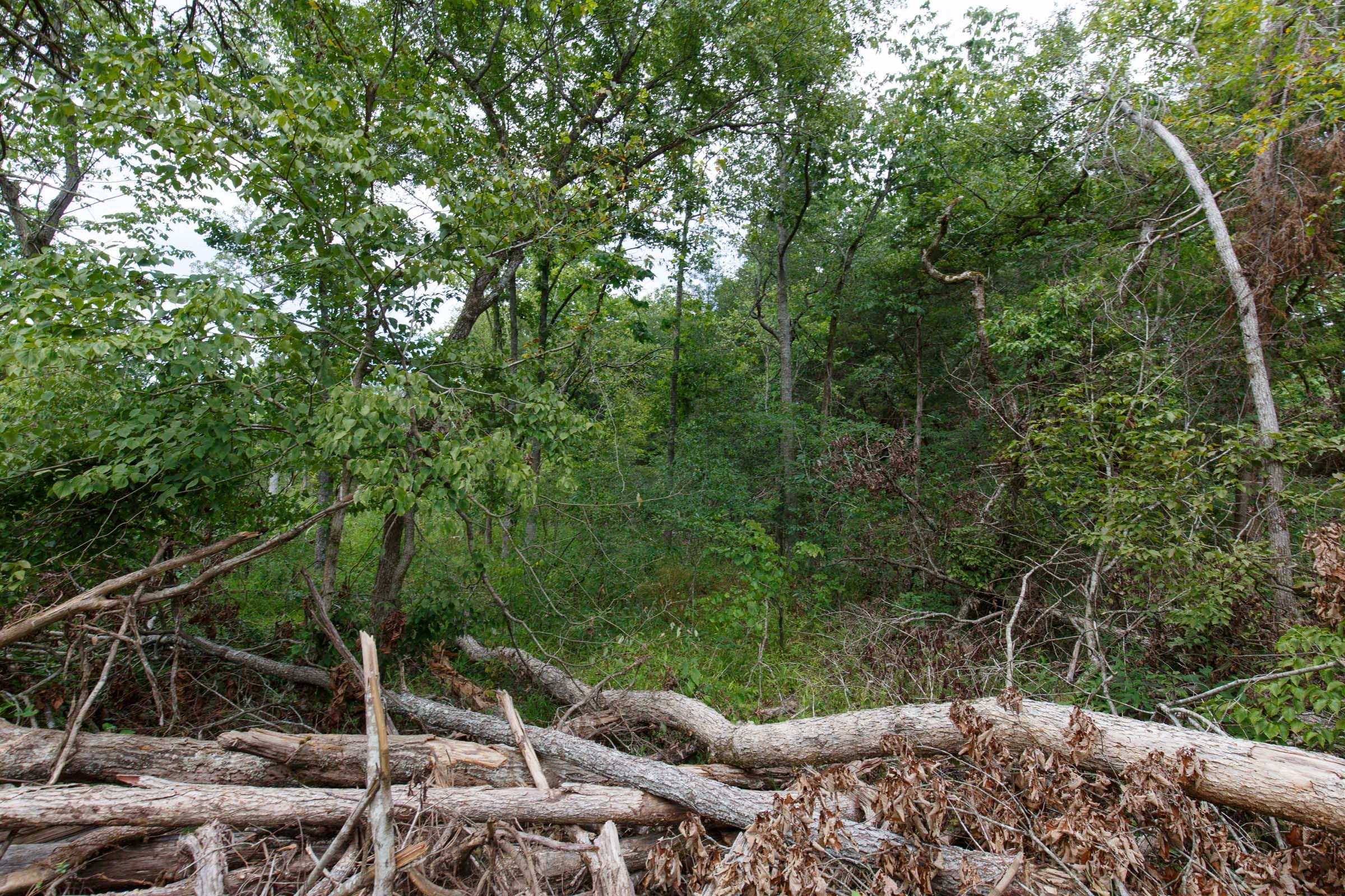 Wildwood Tract 14 photo 8